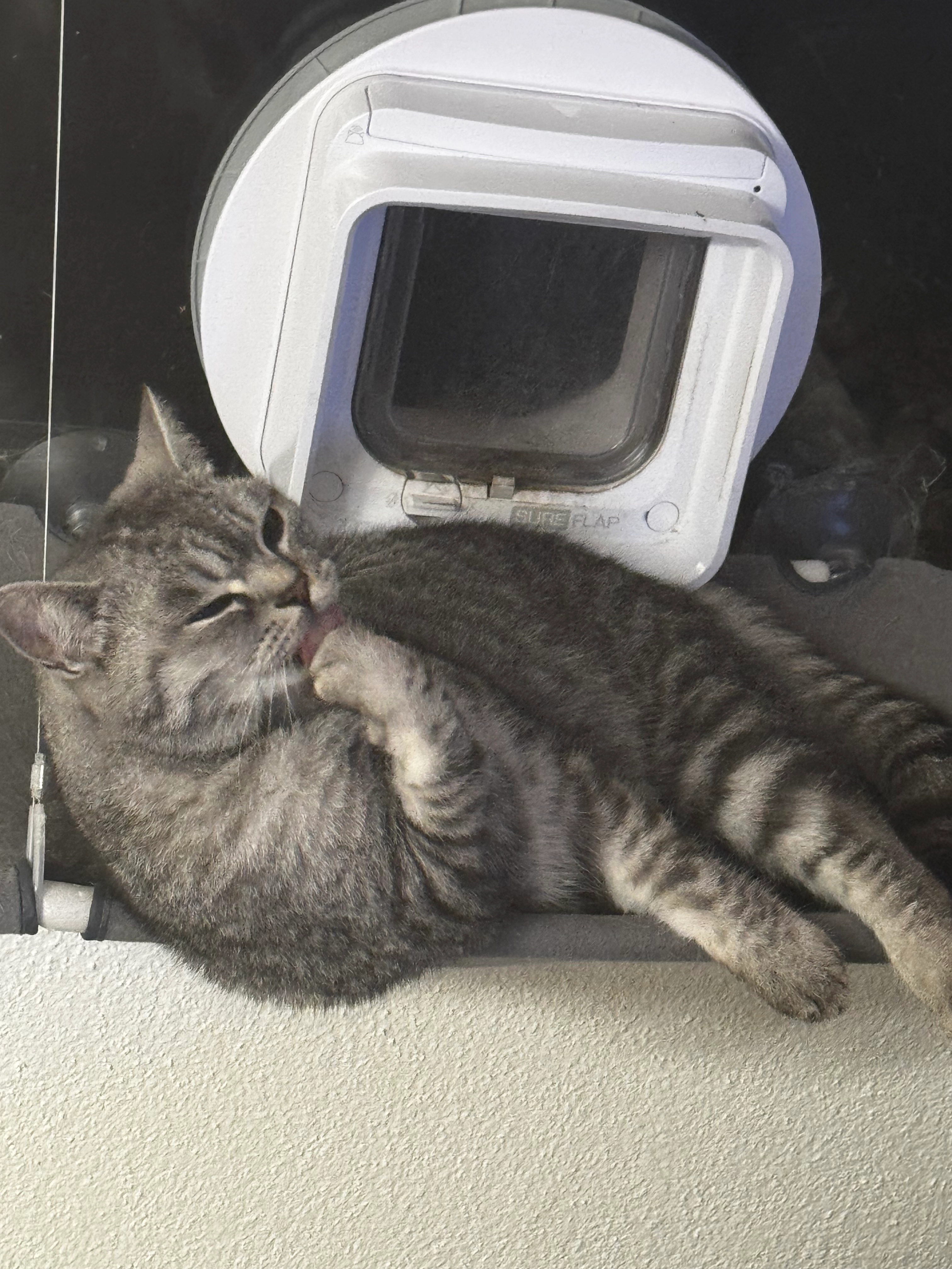 Louie - Gummenweg 31, Lengnau