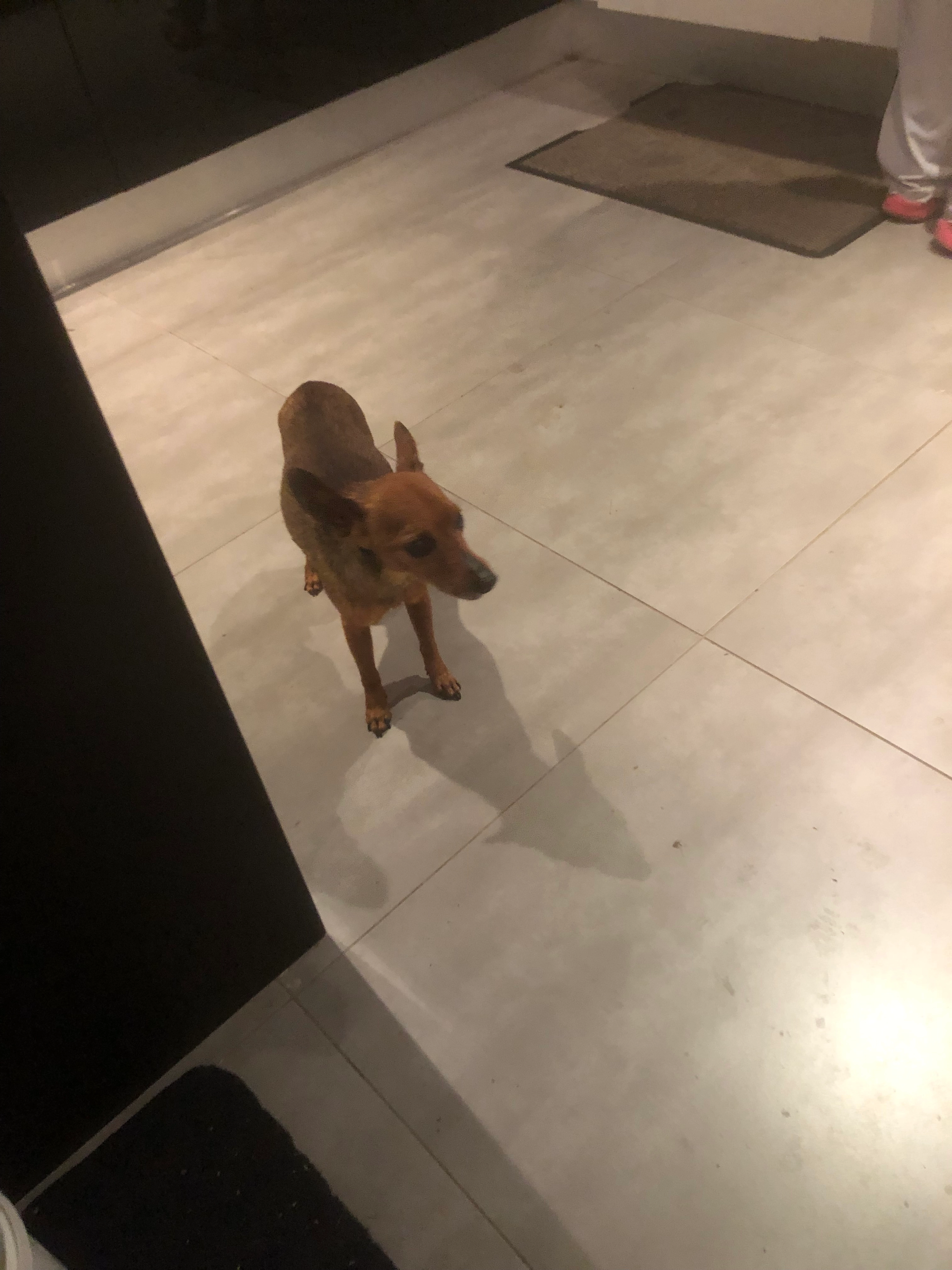 Iron - Rue Principale, Wahlenheim