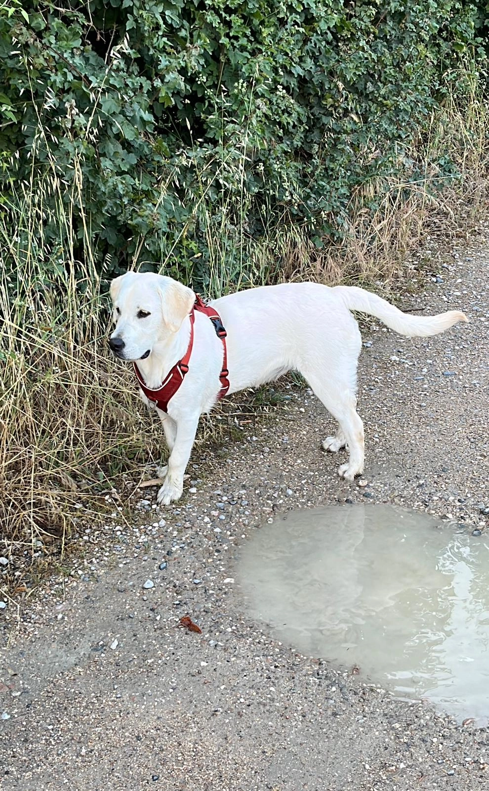 Nala - Route Panoramique, Tournon-sur-Rhône