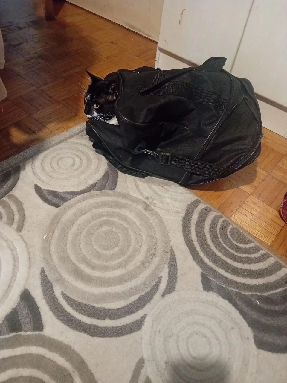 Leon - Leipziger Straße, Braunschweig