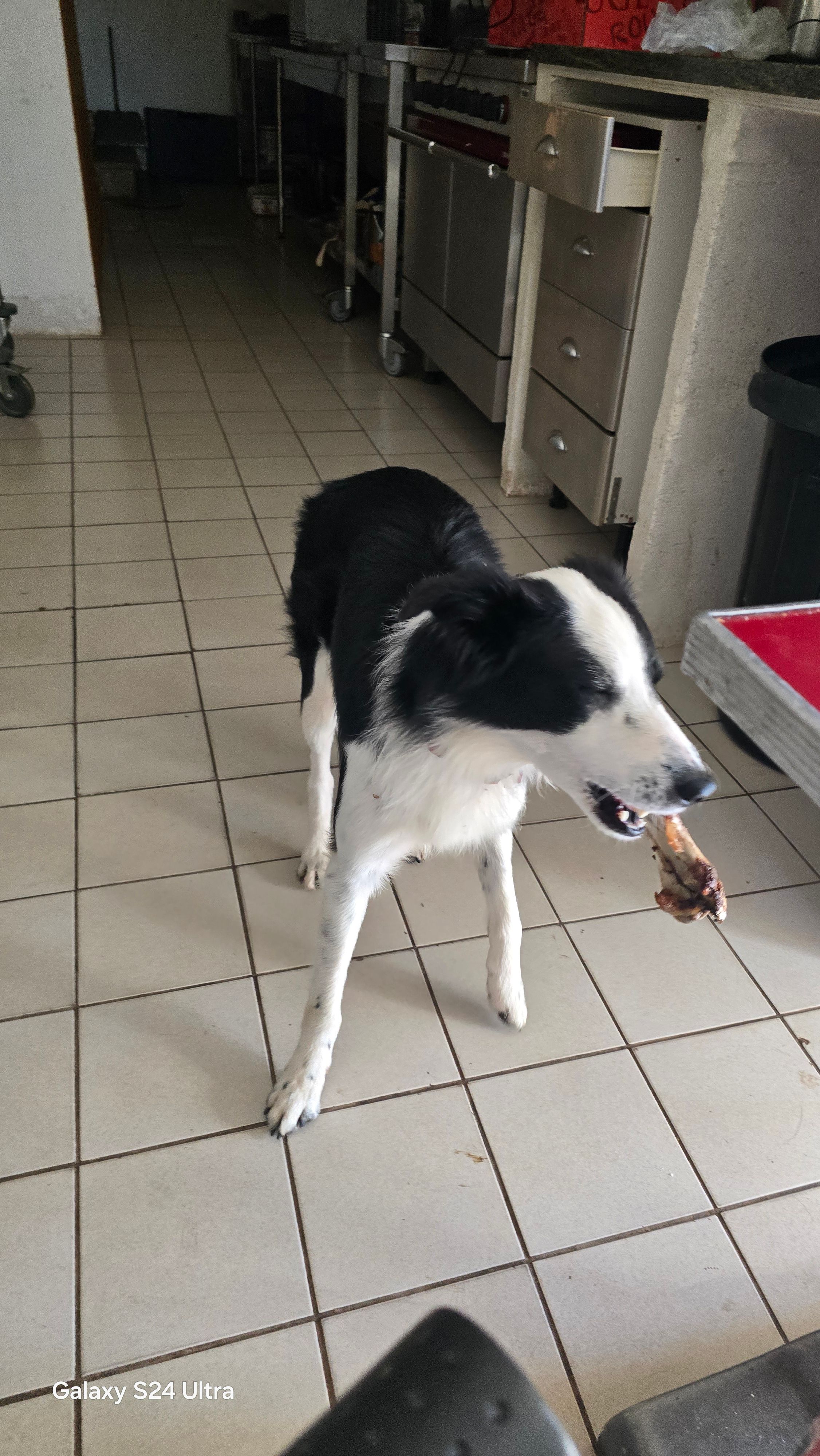 Tchouky - Rue De La République, Bédarieux