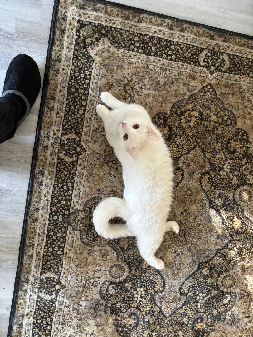 Simon - Kornbindstraße, Villingen-Schwenningen