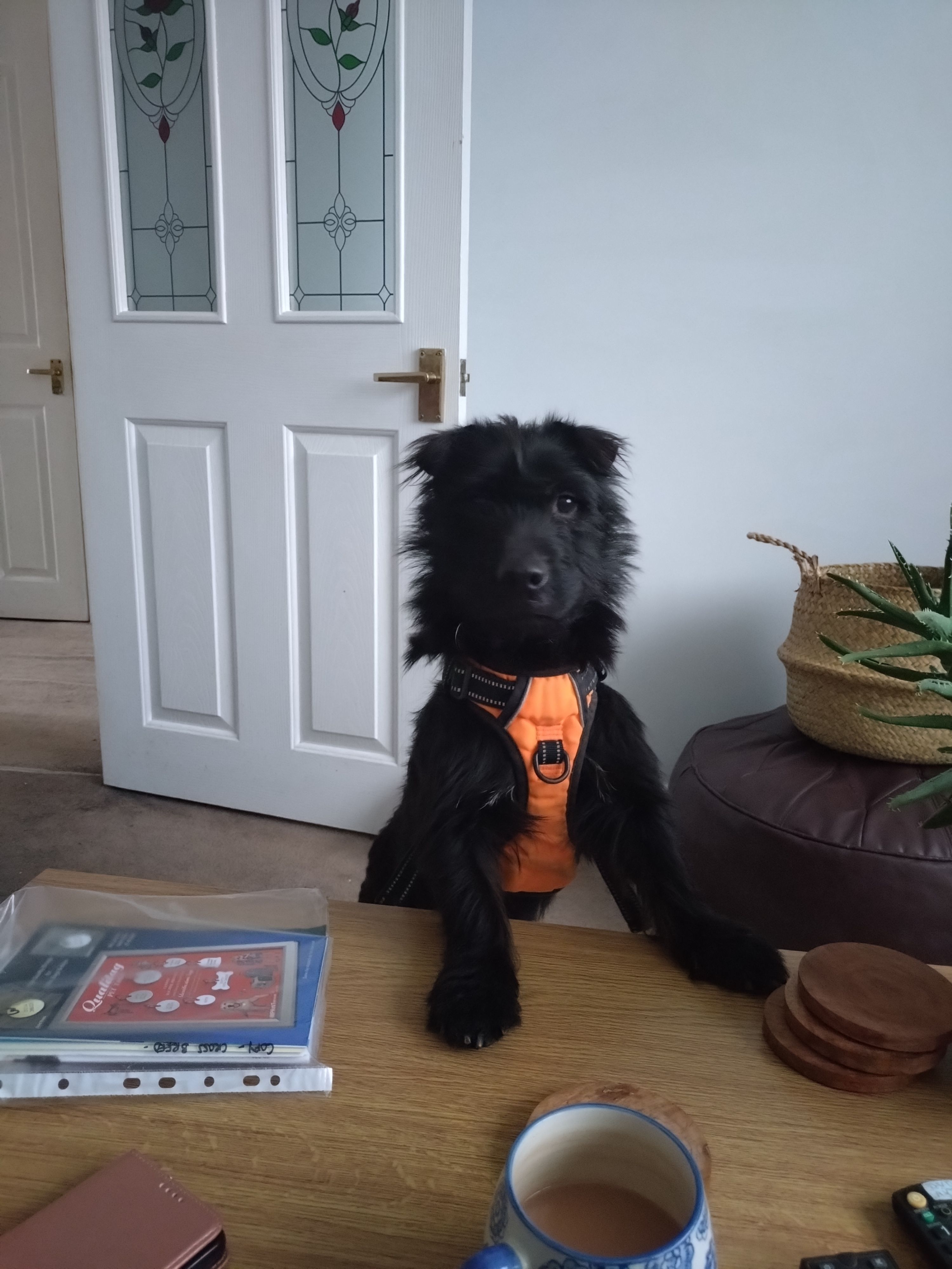 Copy - 59 Heol Pant-y-Rhyn, Caerdydd