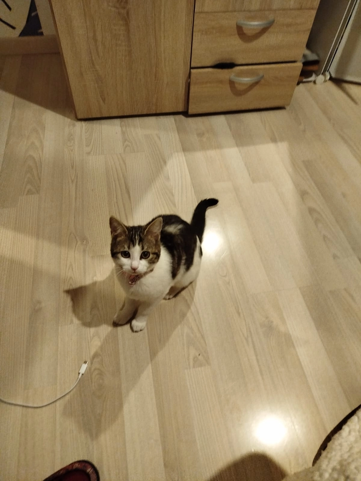 Nefer - 36 Rue Molière, Pontarlier