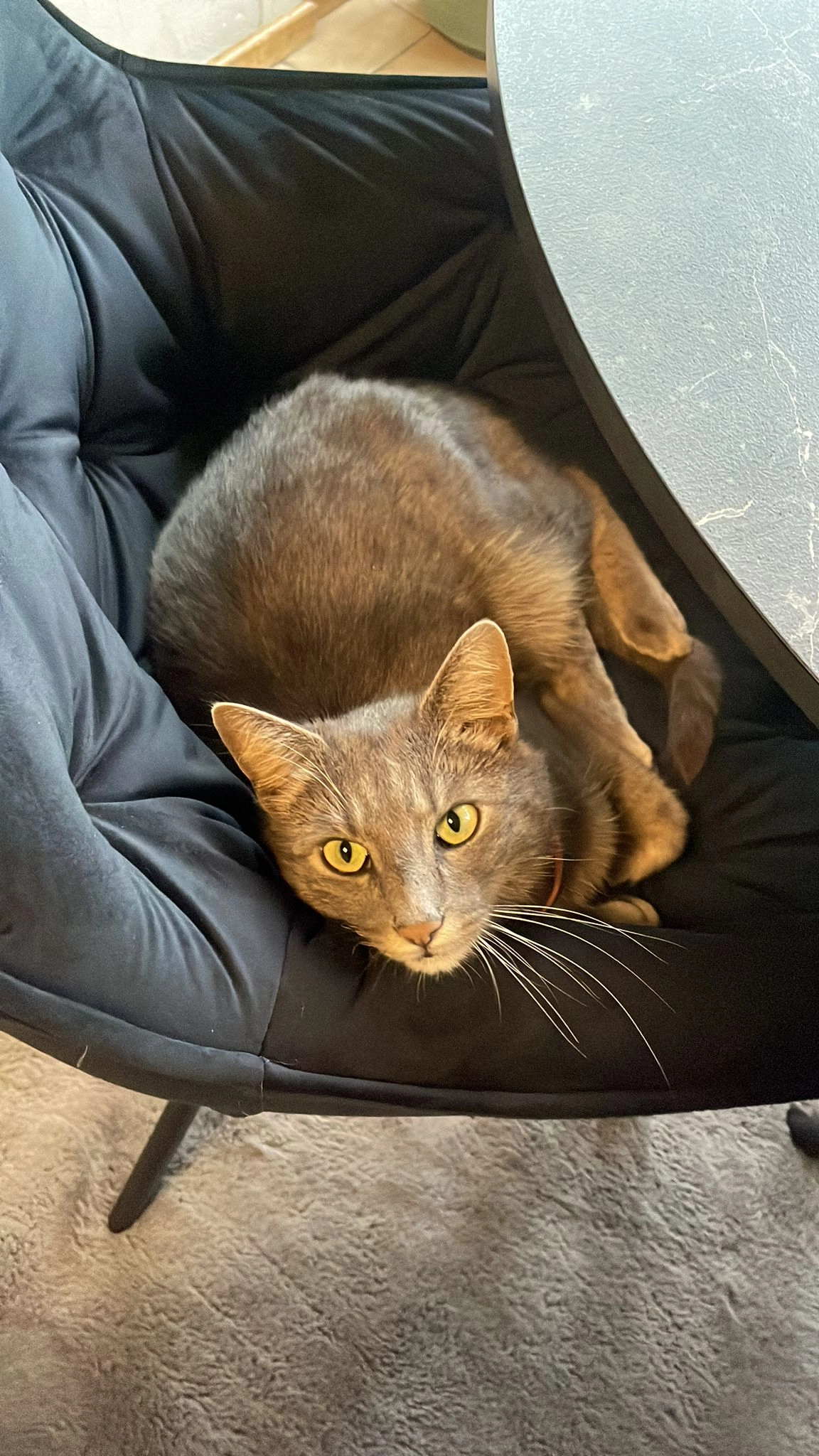 Kusja - Eidsberg, Grafling