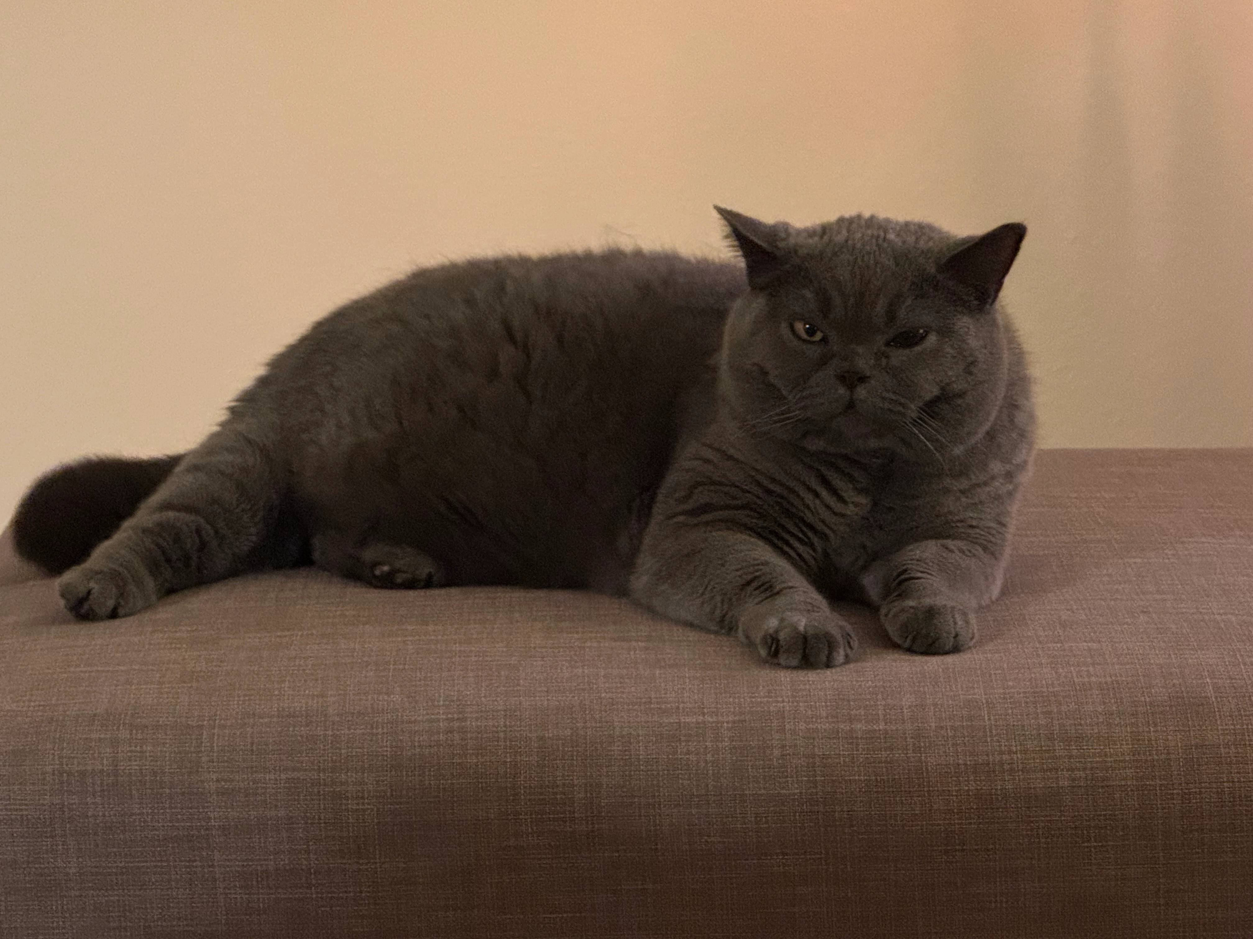 Moritz - Bismarckstraße, Wesel