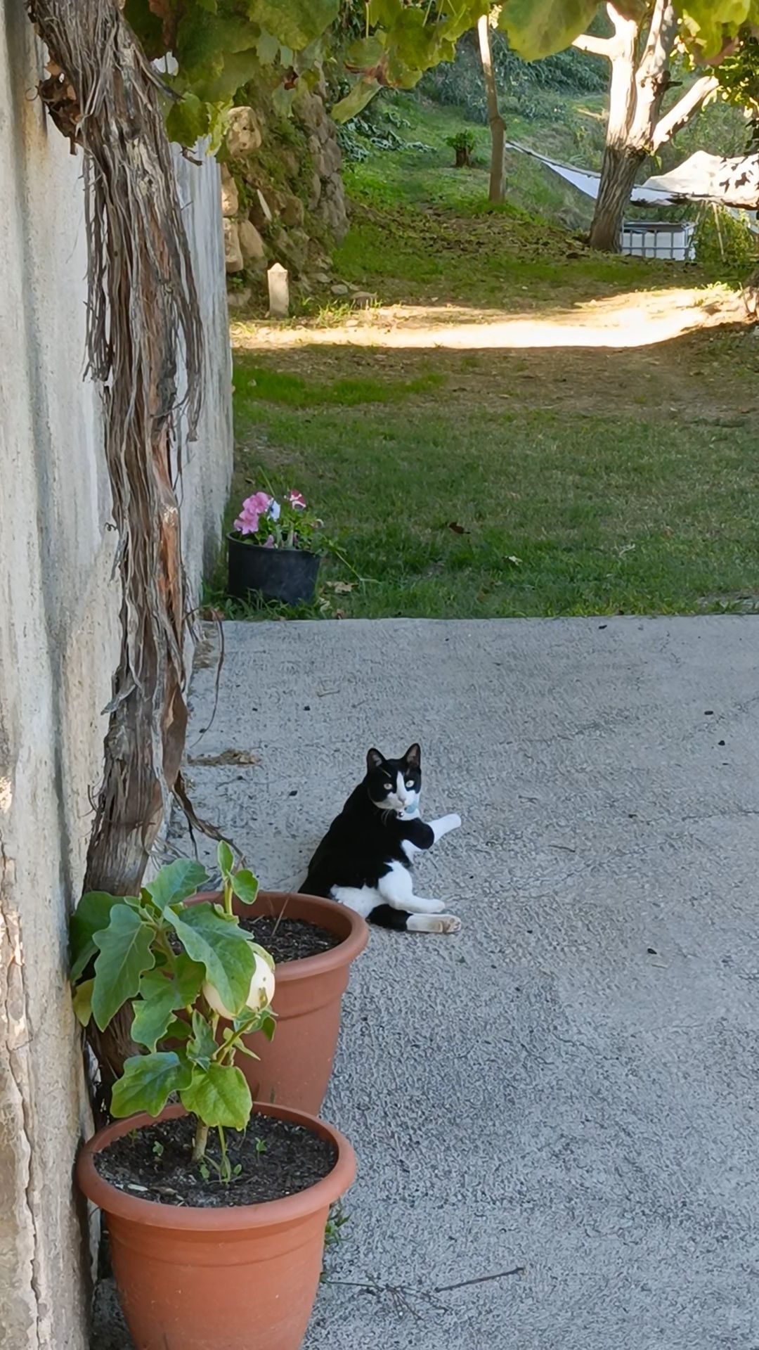 Milka - Carretera De Vic, Gironella