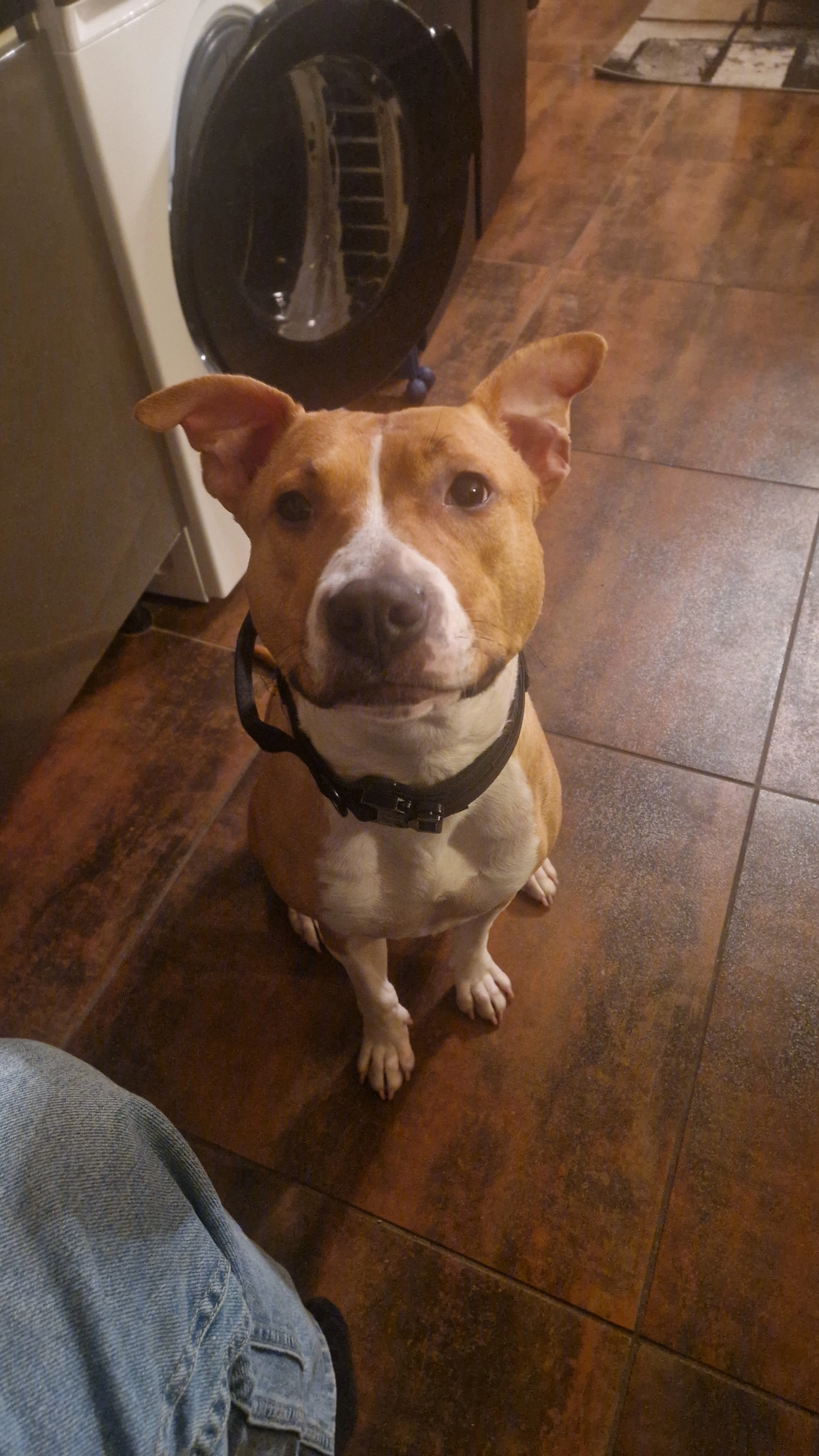 Raïga - 24 Rue Jean Andrieu, Toulouse