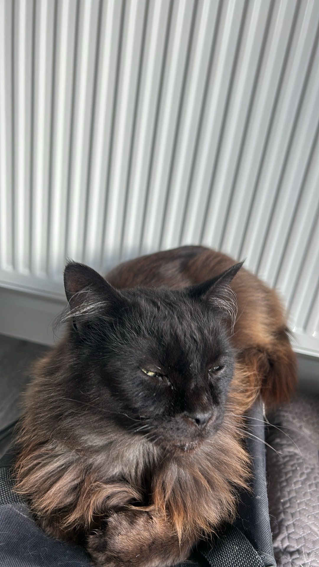 Neo - Viking Drive, Gainsborough