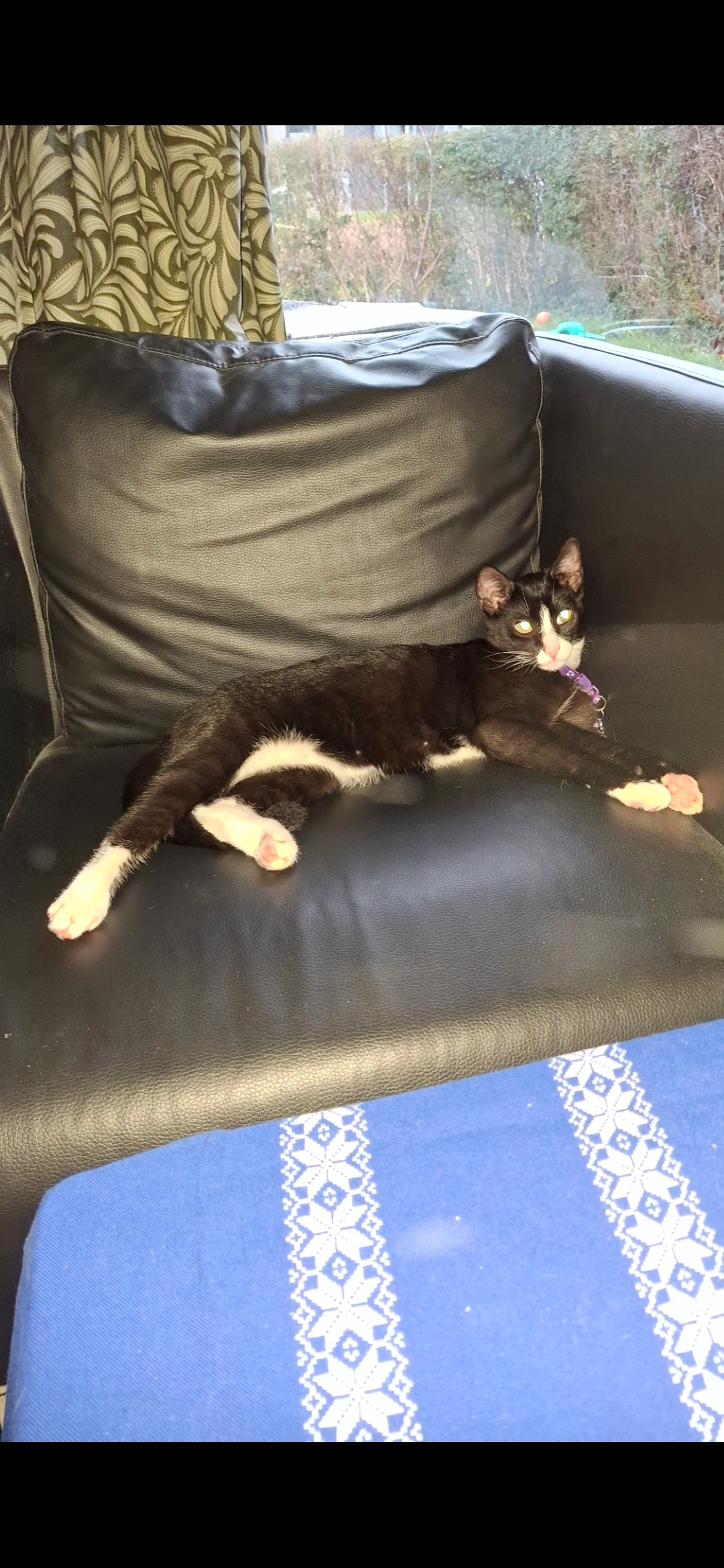 Soso - Baltorpvej, Ballerup