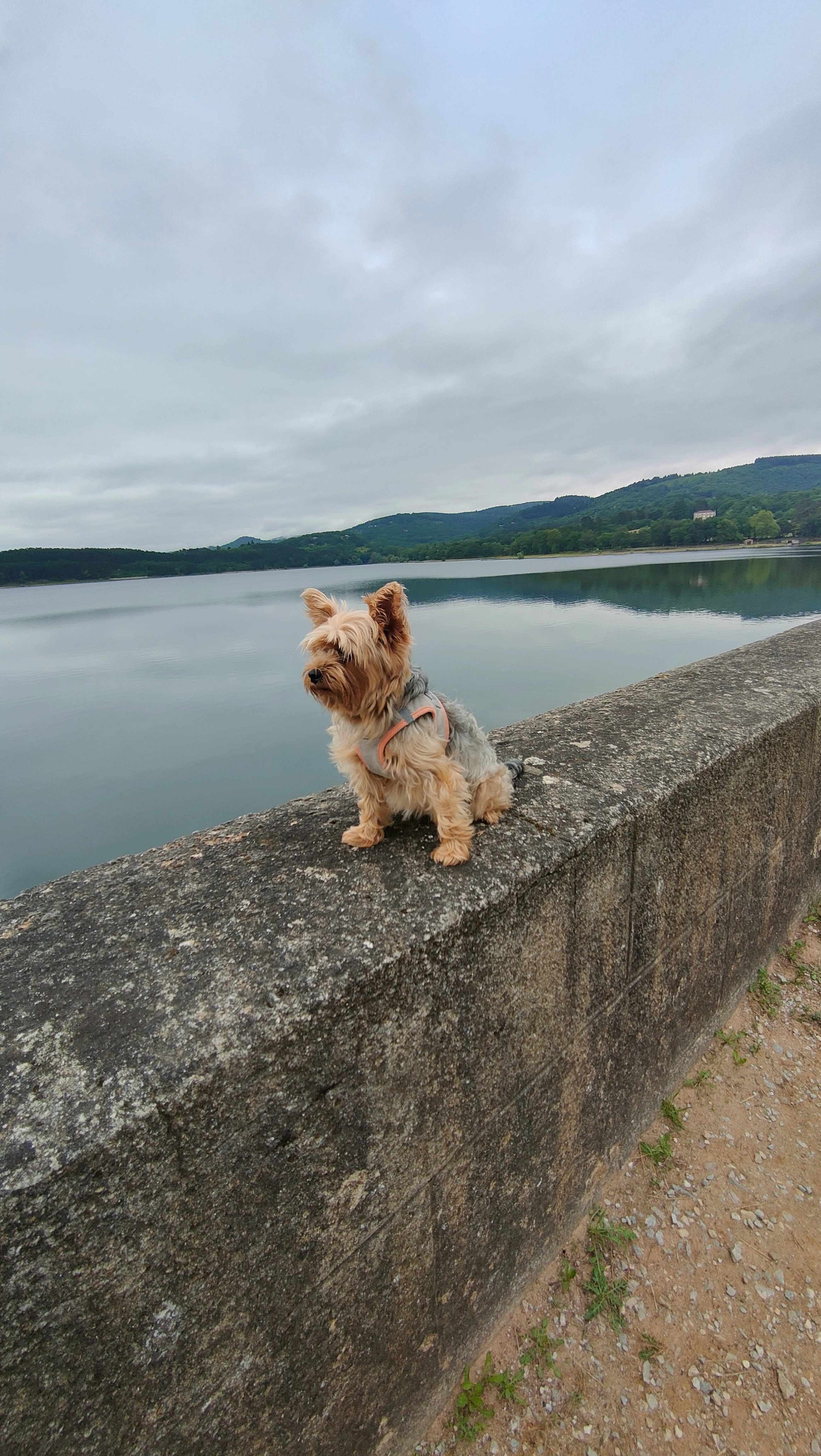 Kyo - 1330 Route de Cagnes, Vence