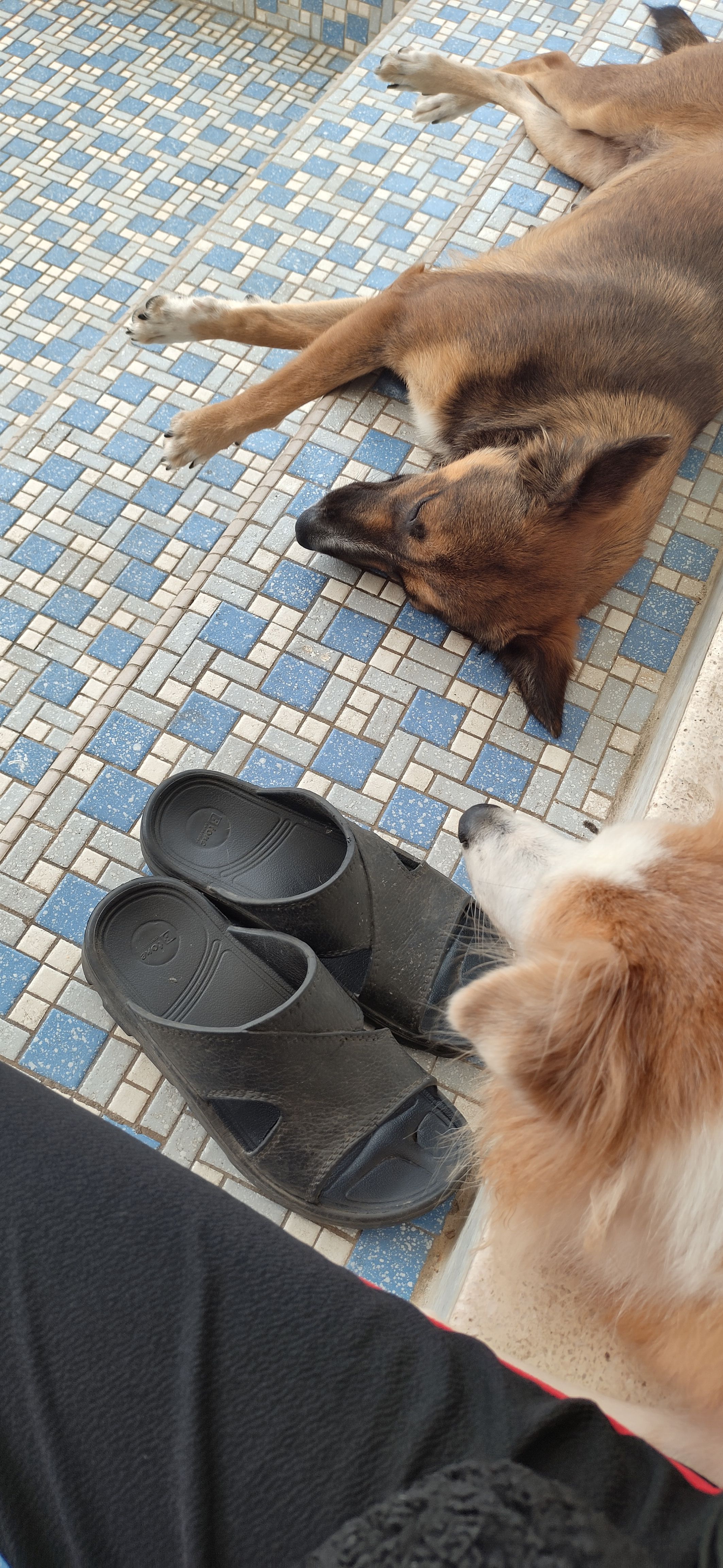 Penny and Kenny - 43200, Cheras