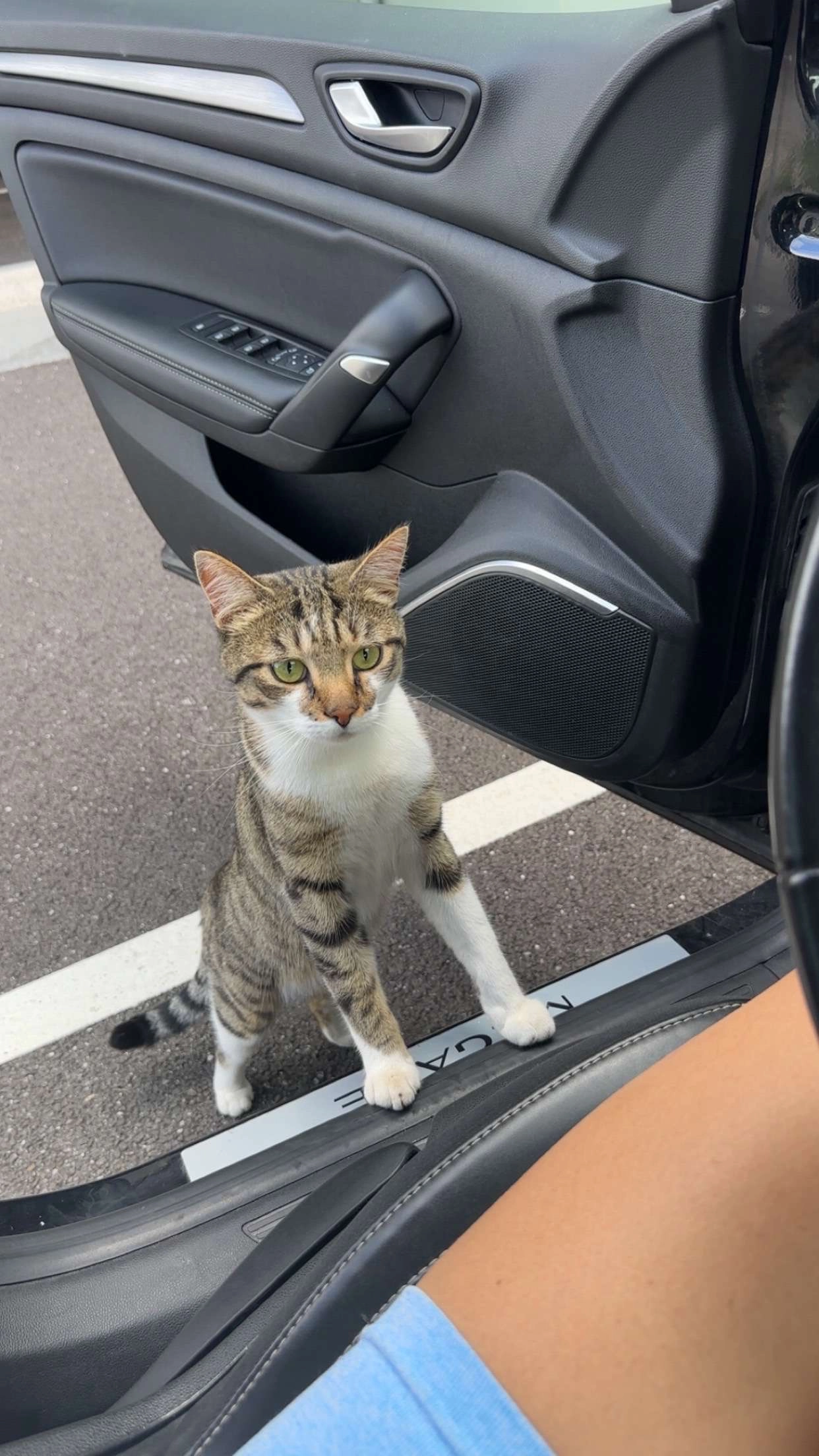 Samy - 4 Rue des Chardonnerets, Basse-Ham