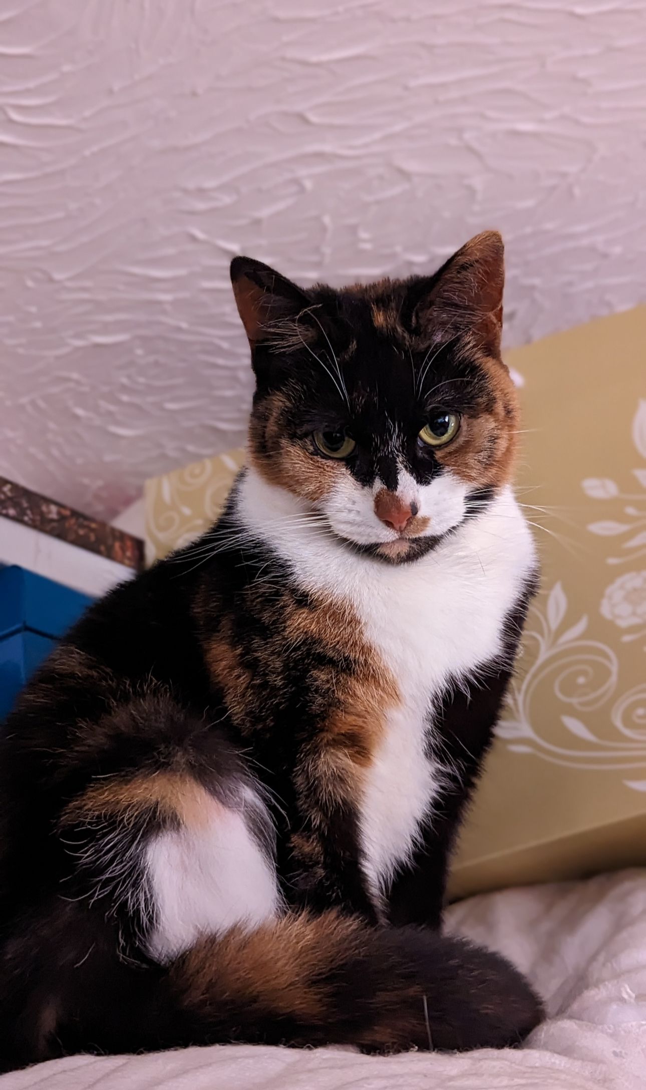 Luna - Wakehams Close, Bexhill-On-Sea