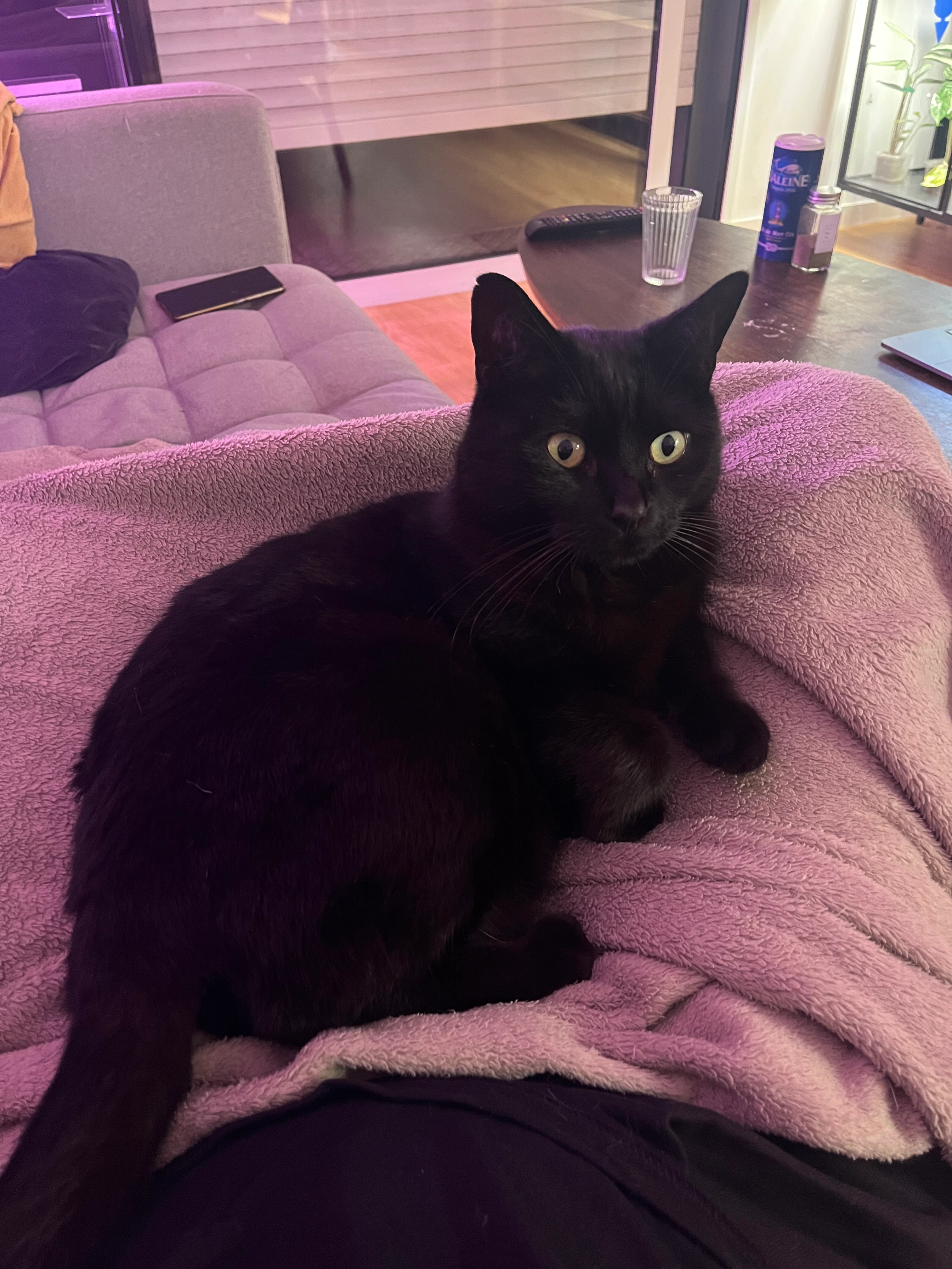 Jérôme  - Rue Victor Rault, Rennes