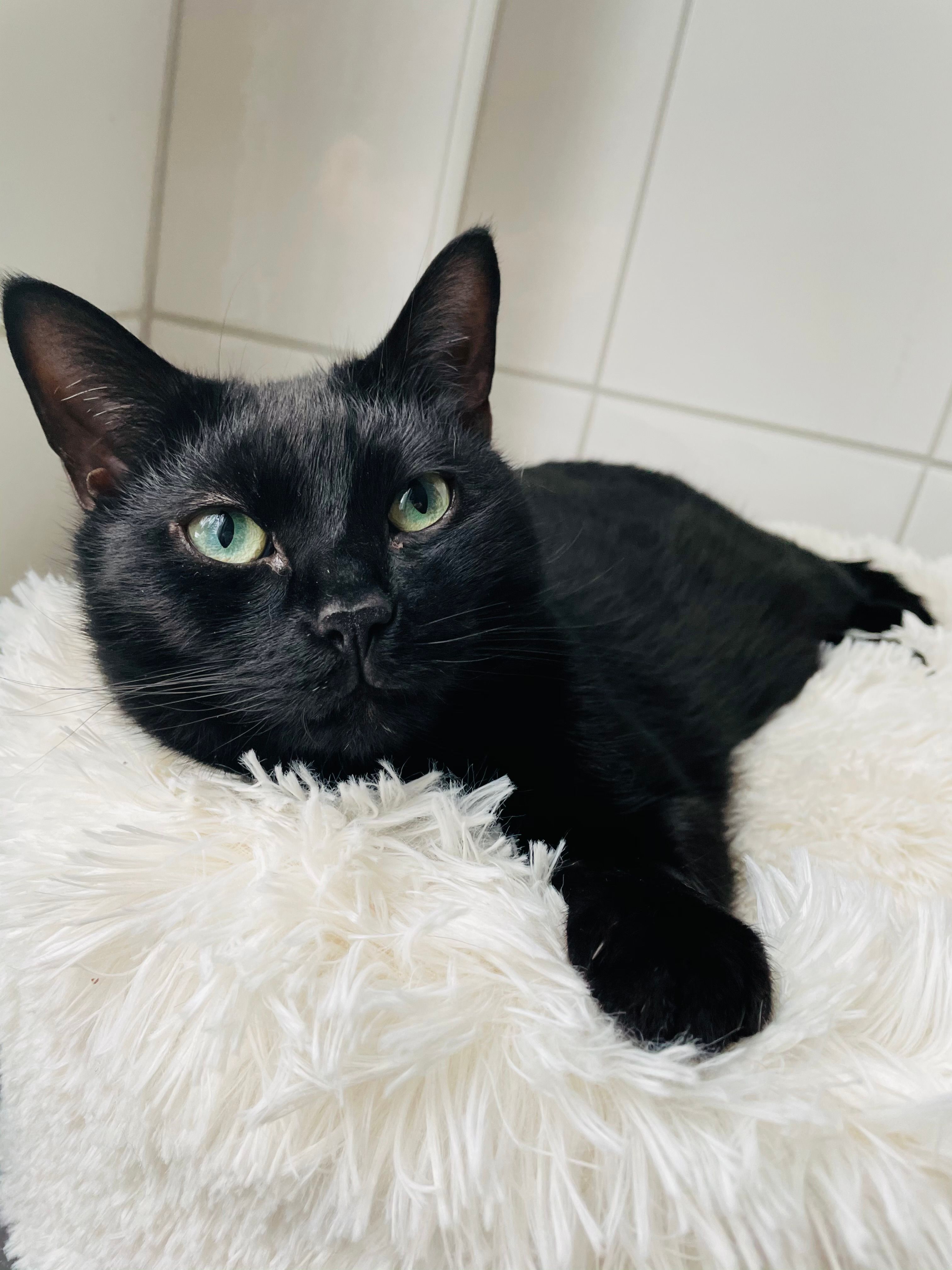 Levi - Altenreuth 2A, Harsdorf