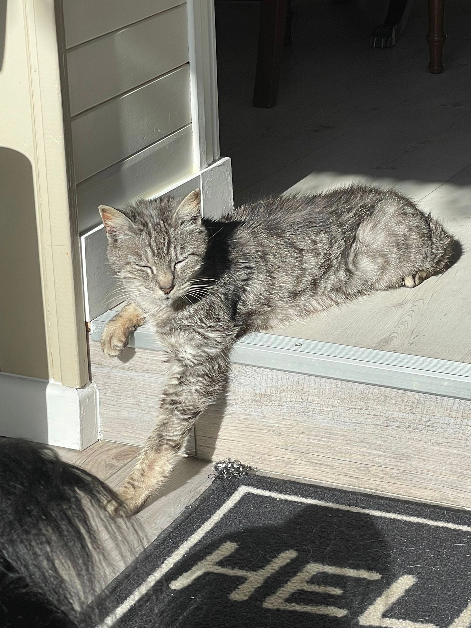 Lana  - Chemin Du Plantier, Sarlat-la-Canéda