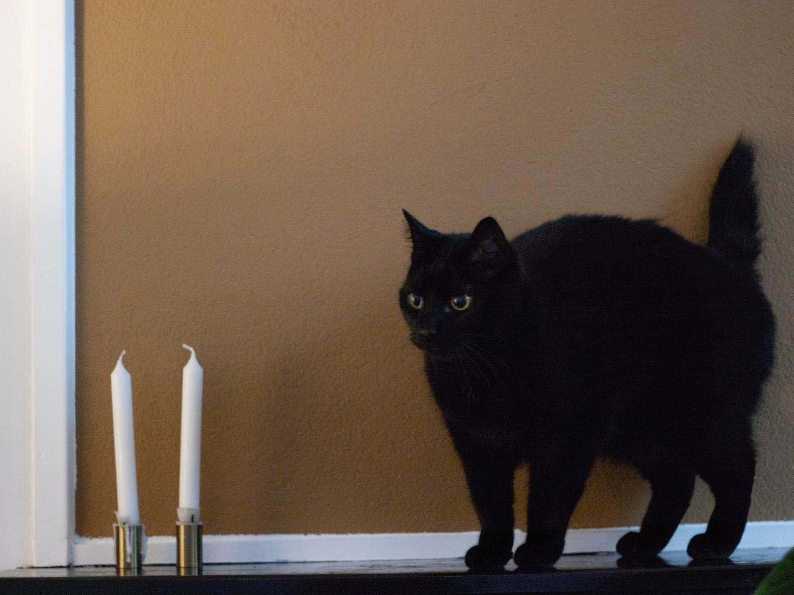 Gompie  - Egbert ten Catelaan, Almelo