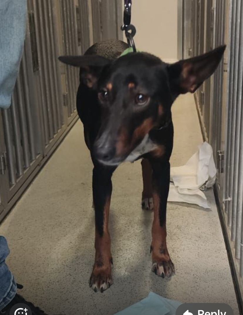 MINA - LS18 5, Leeds