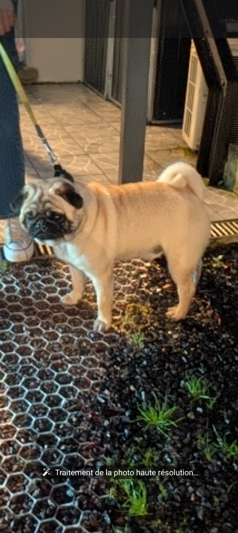 Je sais pas je l'ai trouvé  - 9 Avenue Constant Coquelin, Couilly-Pont-aux-Dames