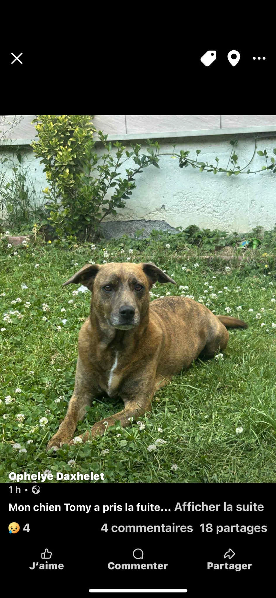 Tomy  - Allée Des Aubépines, Rancennes