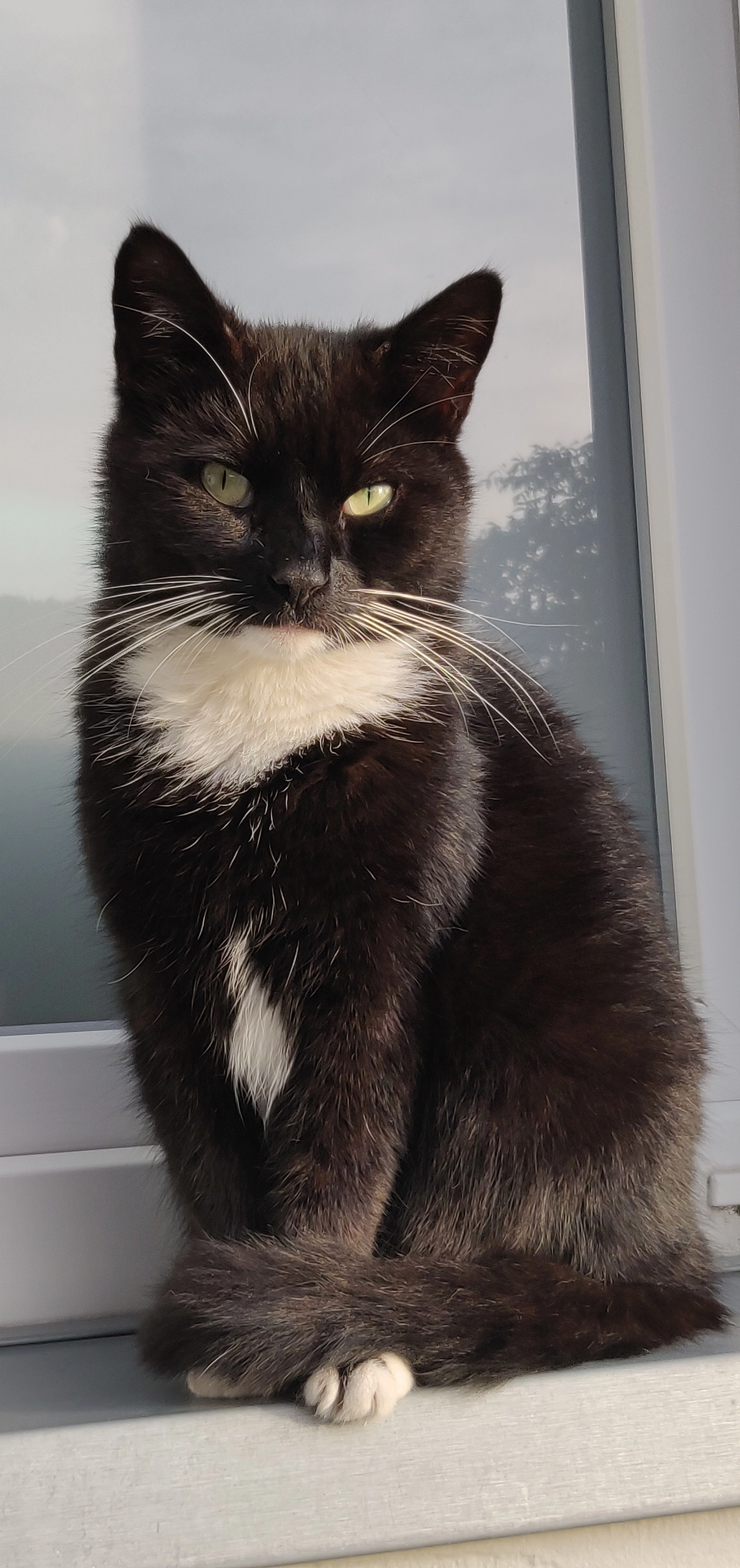 Paco - Rue Harkay 459, Flémalle