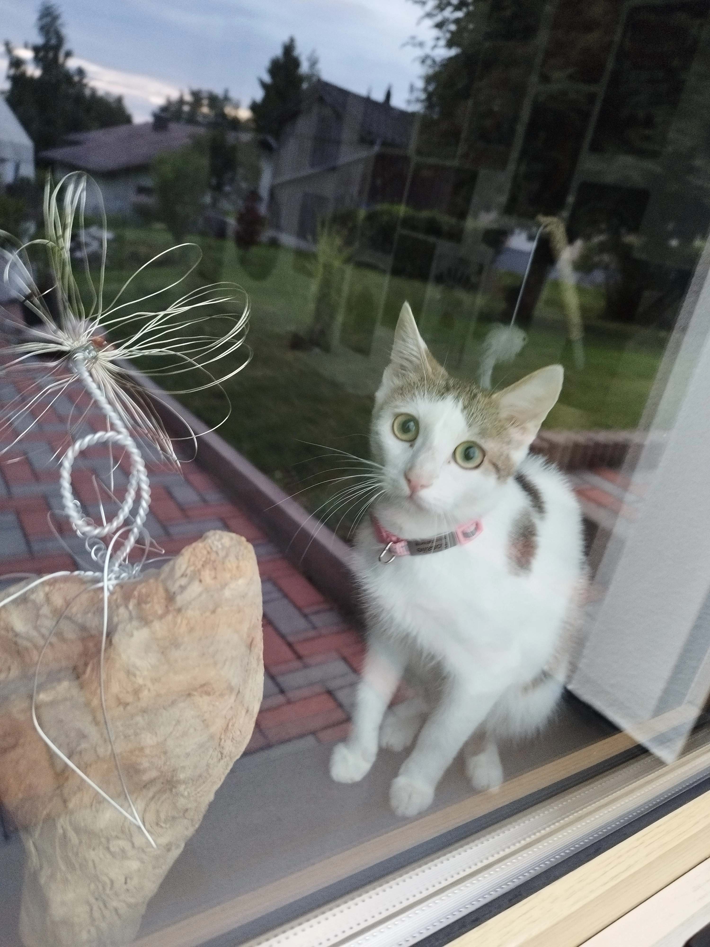 Rosalie - Lärchenweg, Obernzell