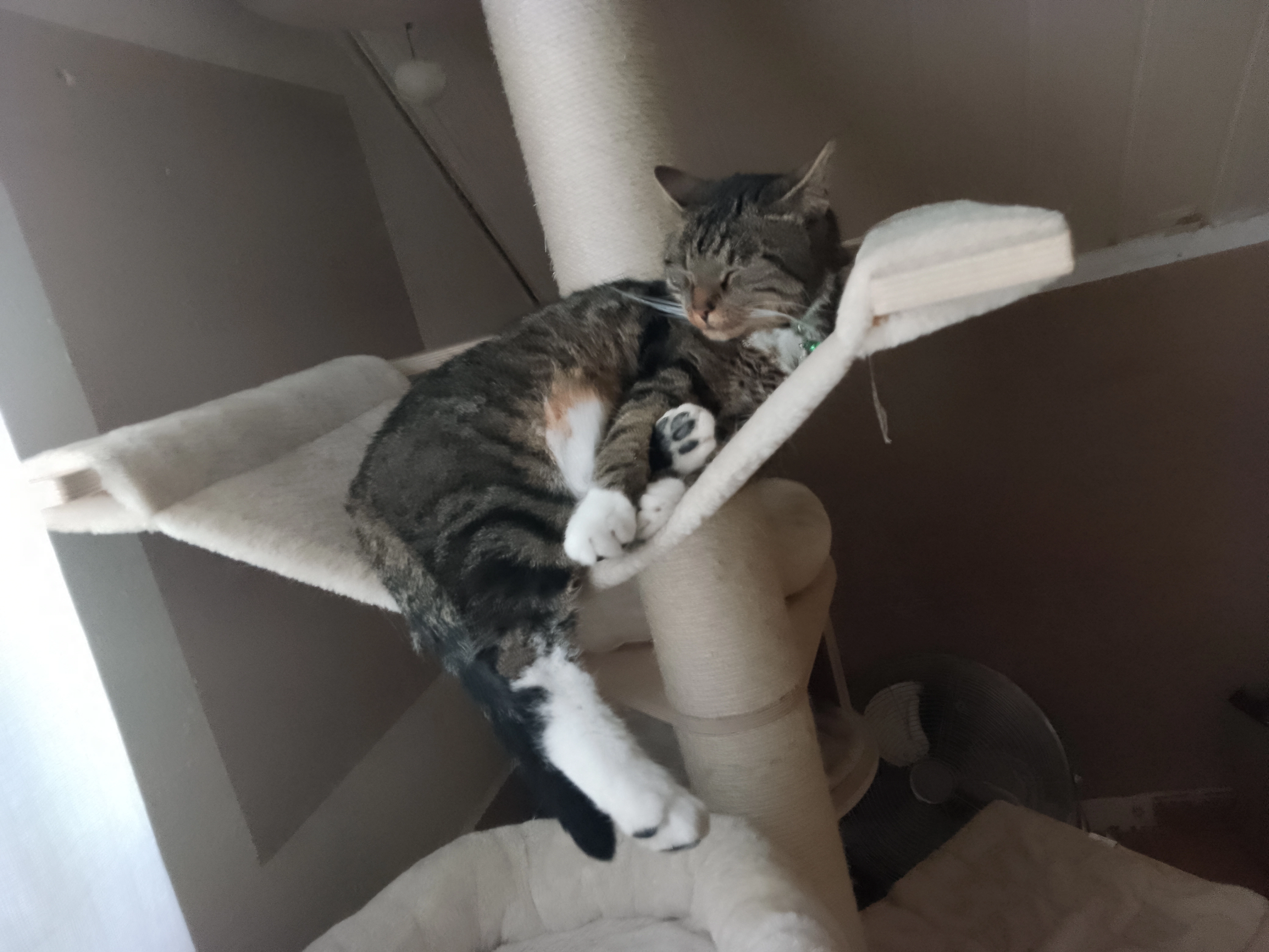 Cooper  - Im Flaßsiek, Enger