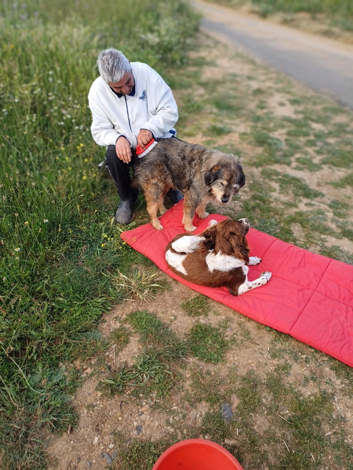 Vanda  - 34300, Agde