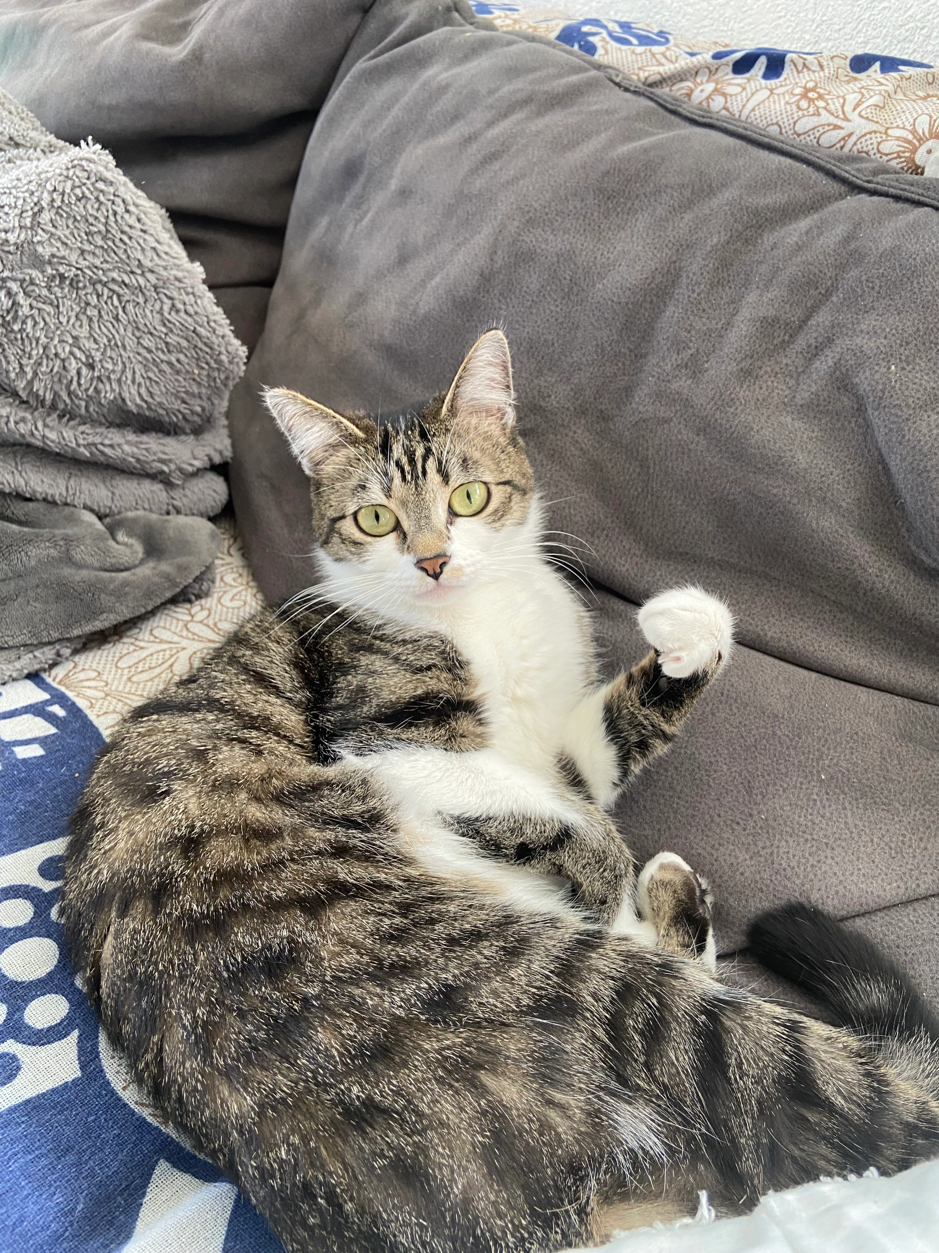 Sole  - Steuppergstraße, Cleebronn