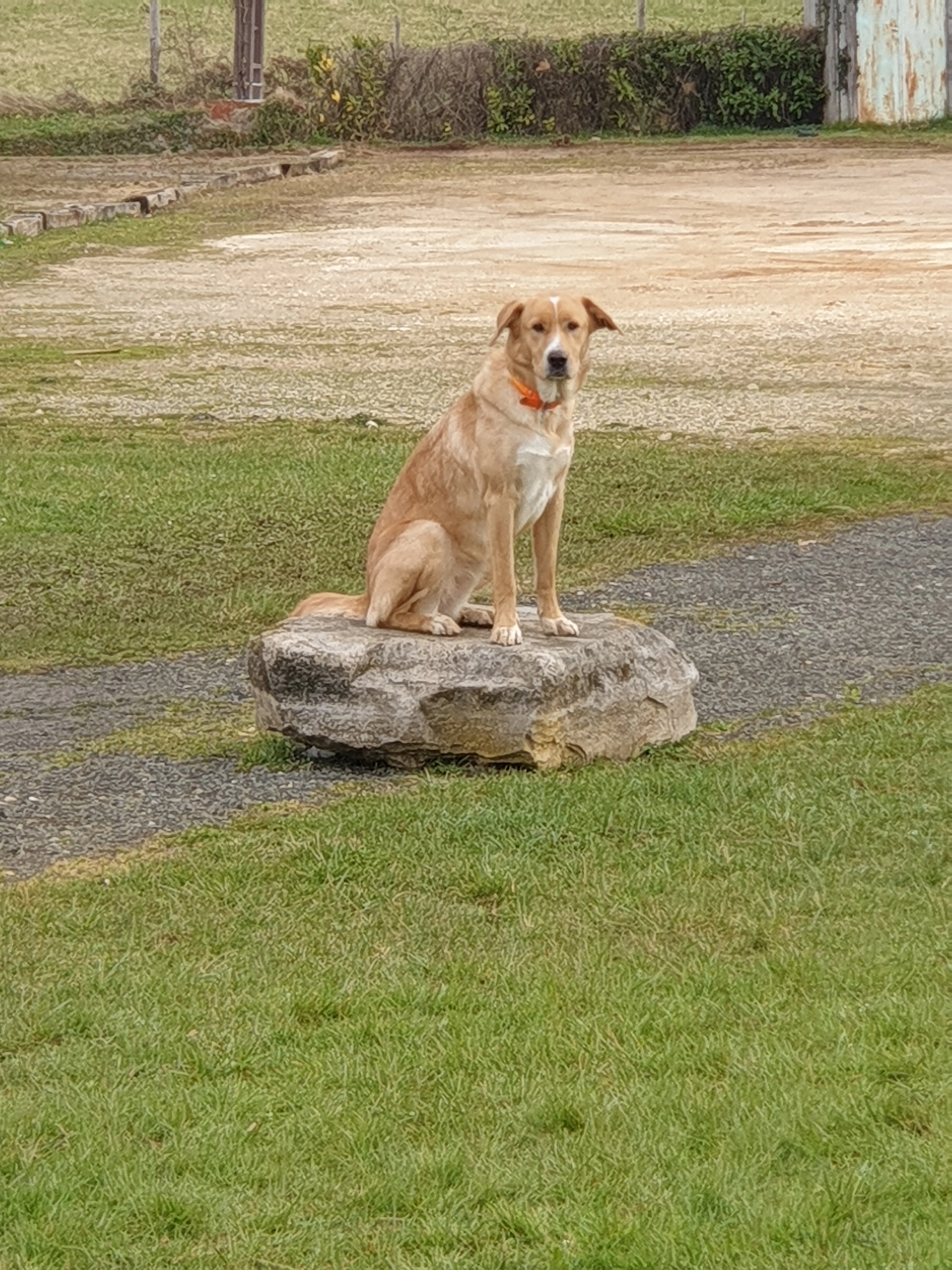 Ukyta  - Place De La Mairie, Coursac