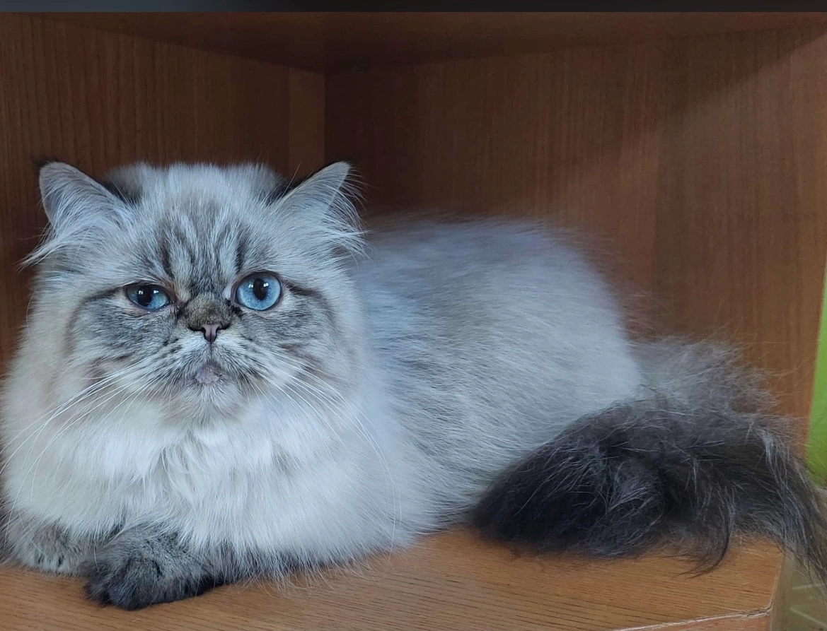 Momo - Freissmuthweg, Sankt Ruprecht an der Raab