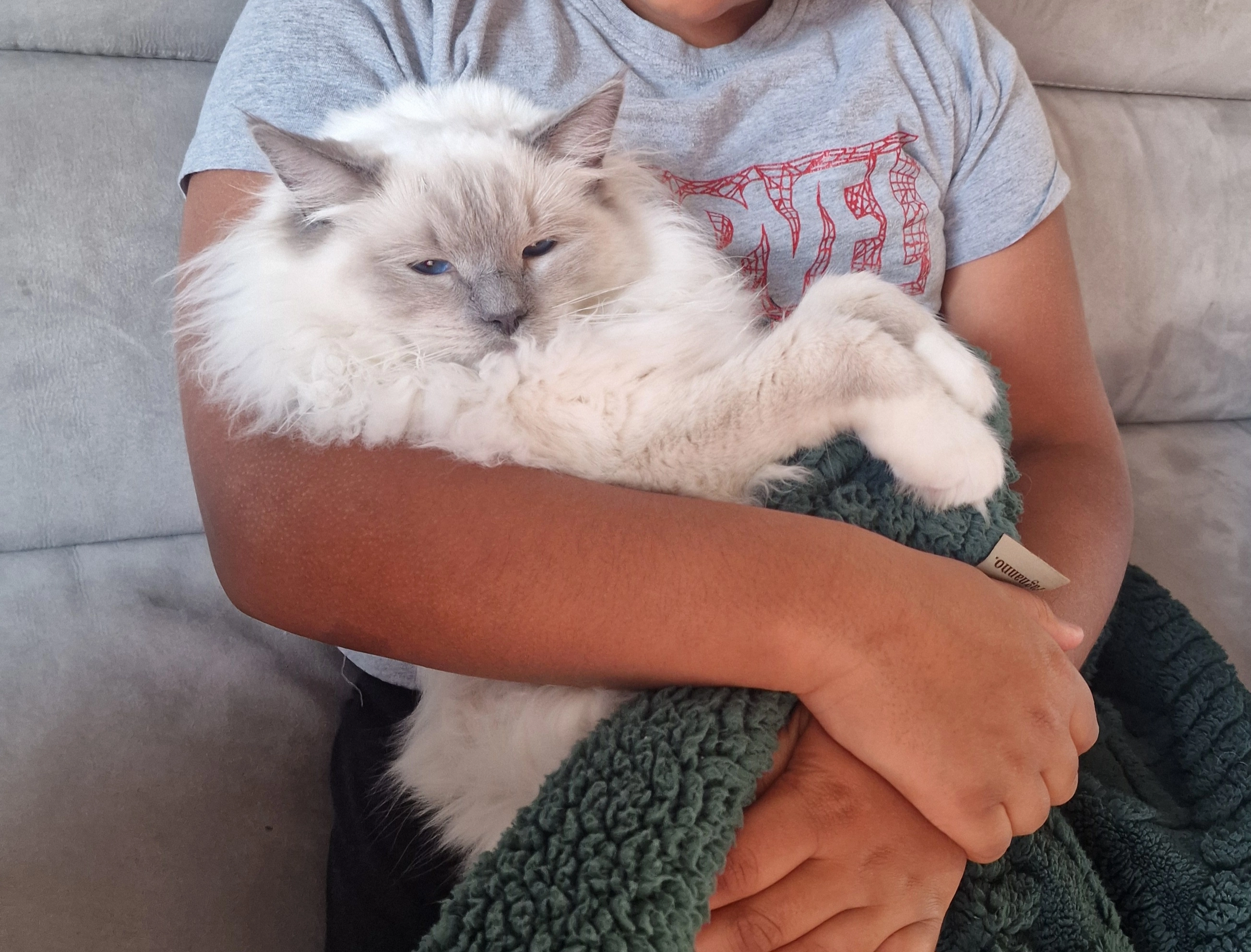 Snowy  - Snowy Way, Huntingdon