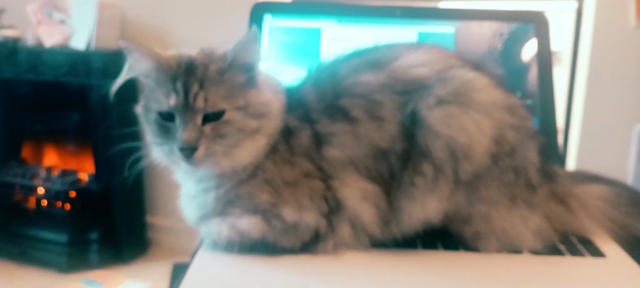 Ana - Strandhill Road, Sligo