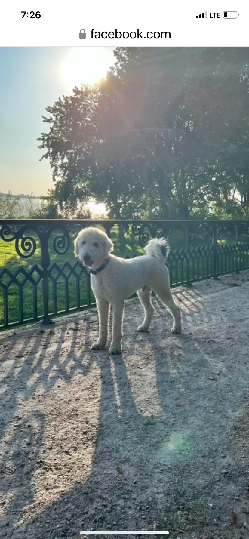 Milu - Neue Straße, Carinerland