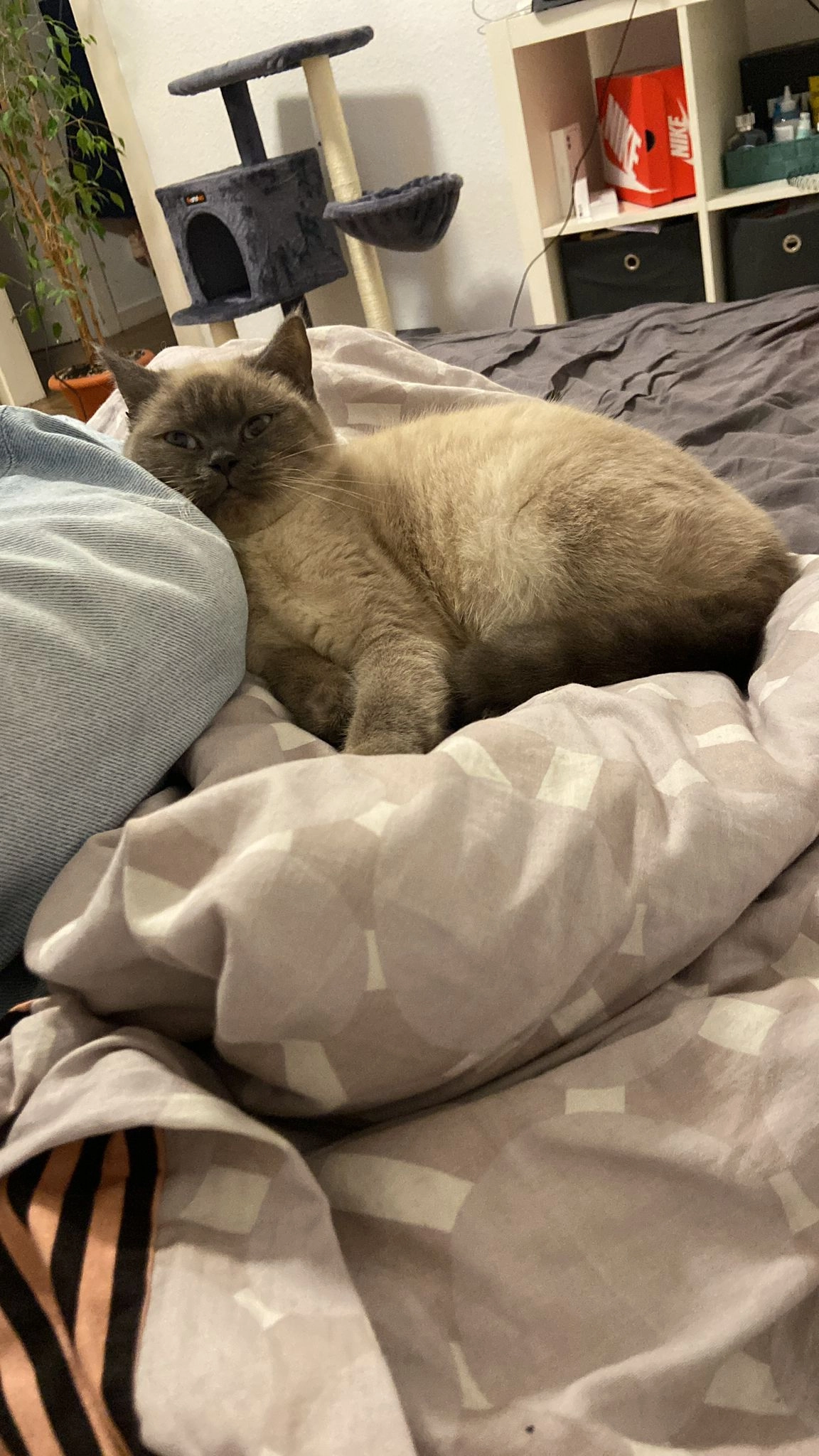 Luna - Schulstraße, Rheda-Wiedenbrück