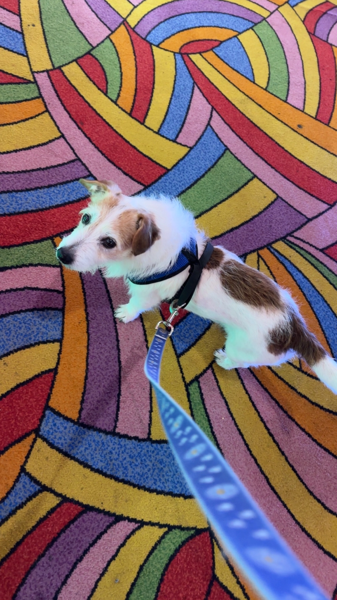 Sid - George Street, Mablethorpe