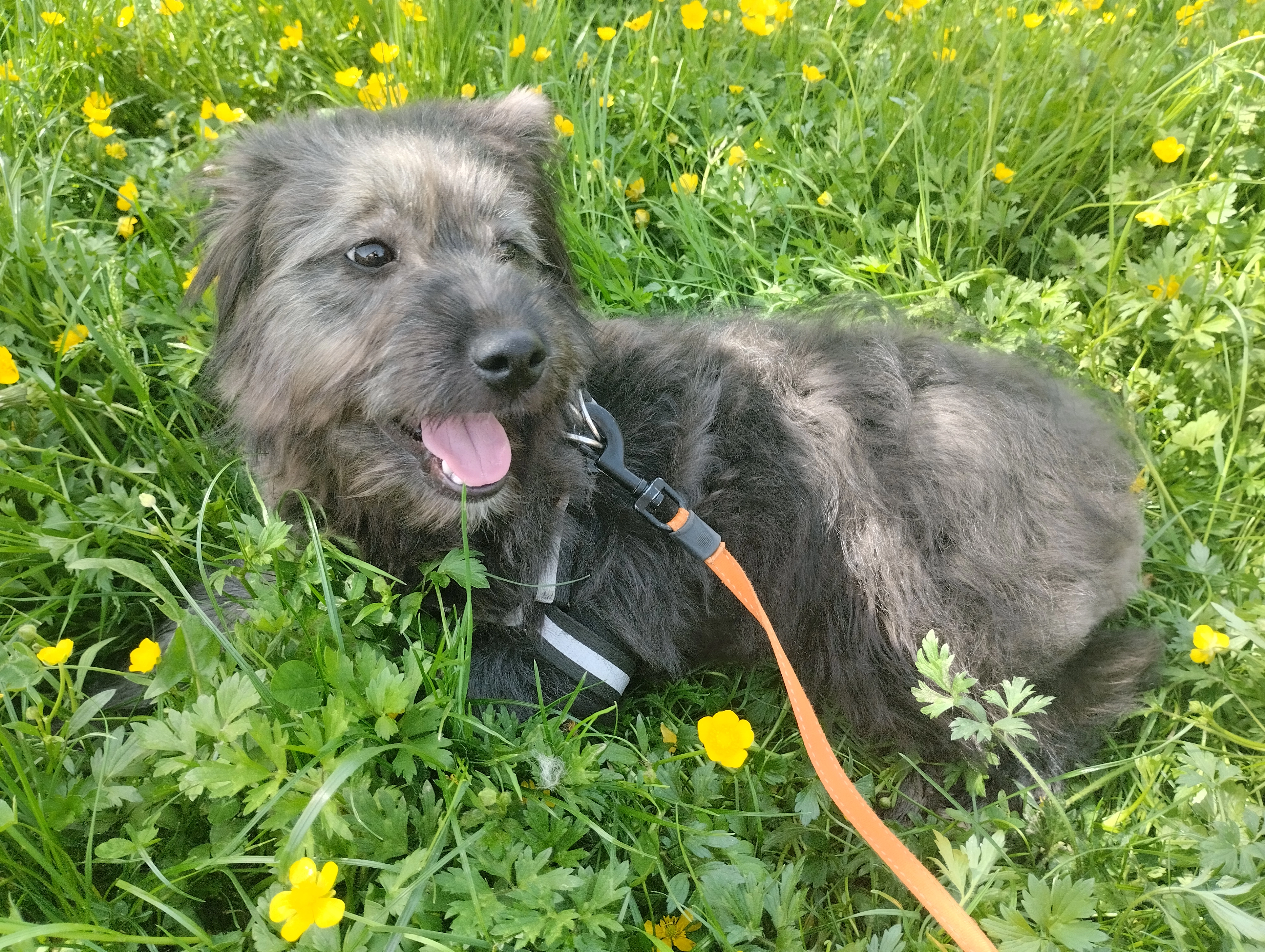 Vic - Rue Des Champs, Anteuil