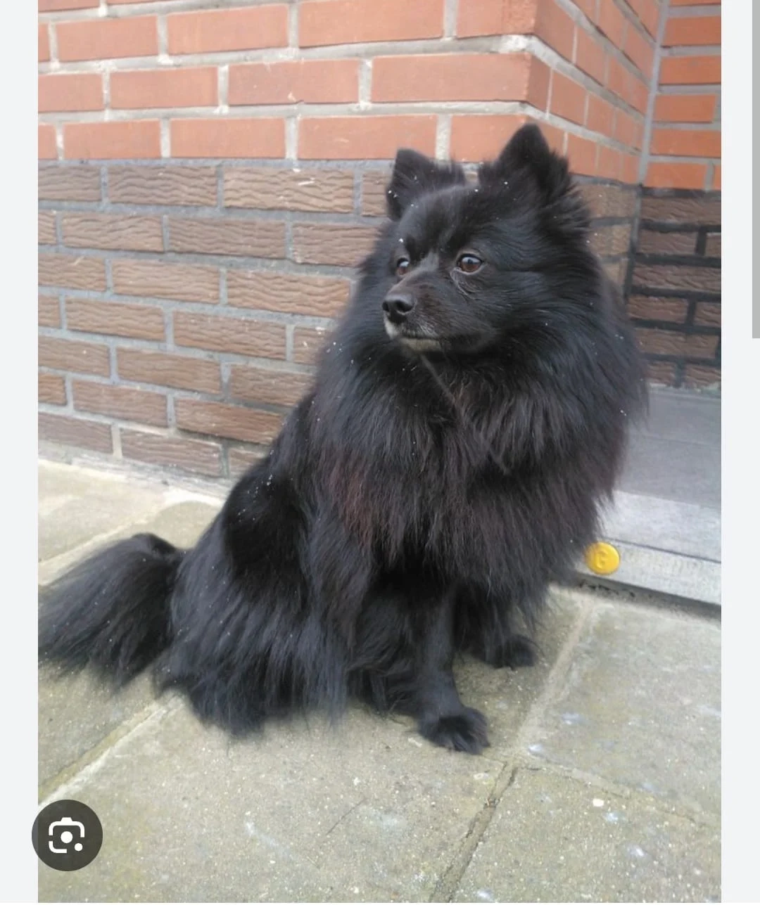 Chotu - Trans Haryana Expressway, Pehowa