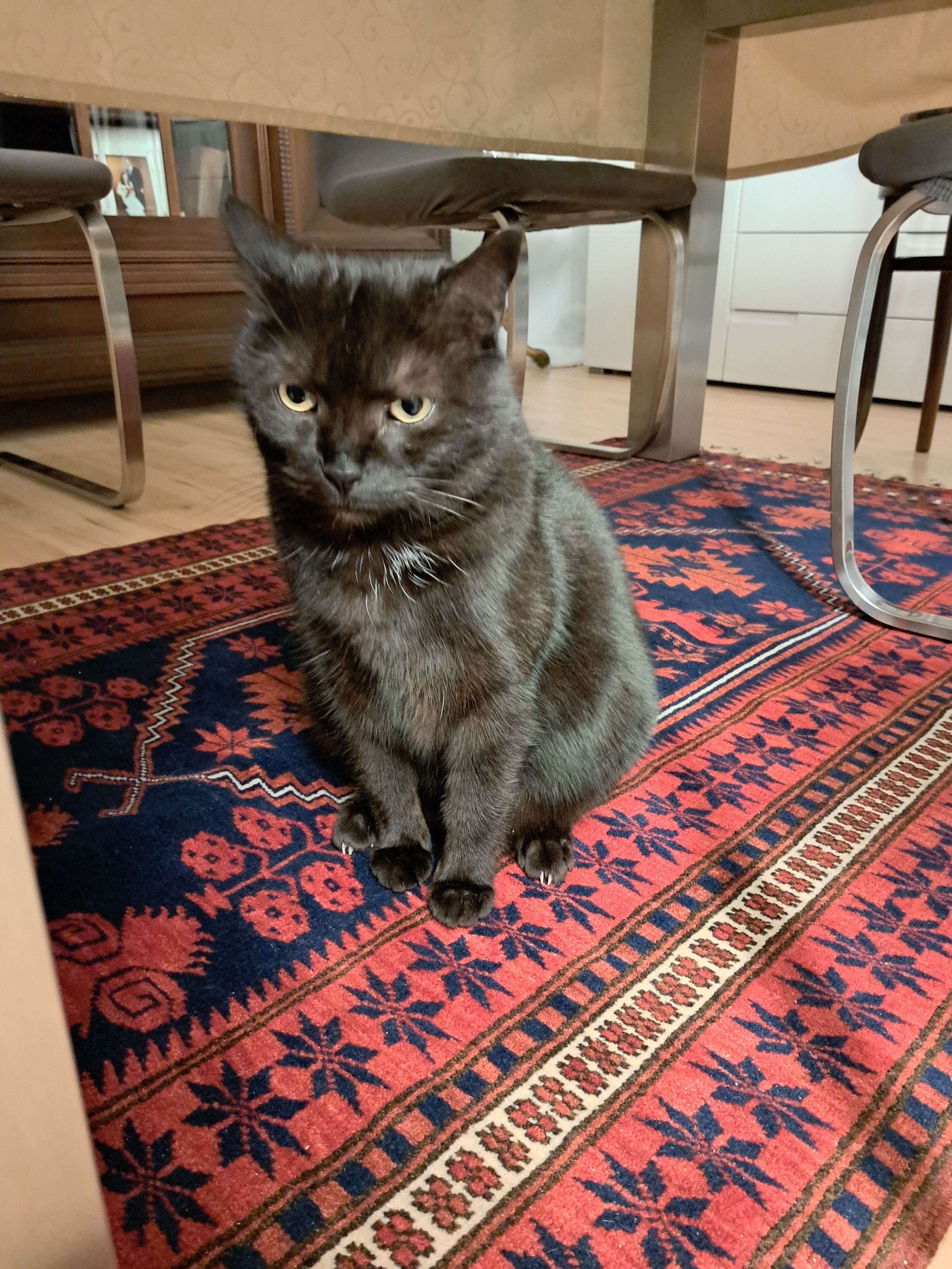 Rudi - Wasserstuba 2, Feldkirch