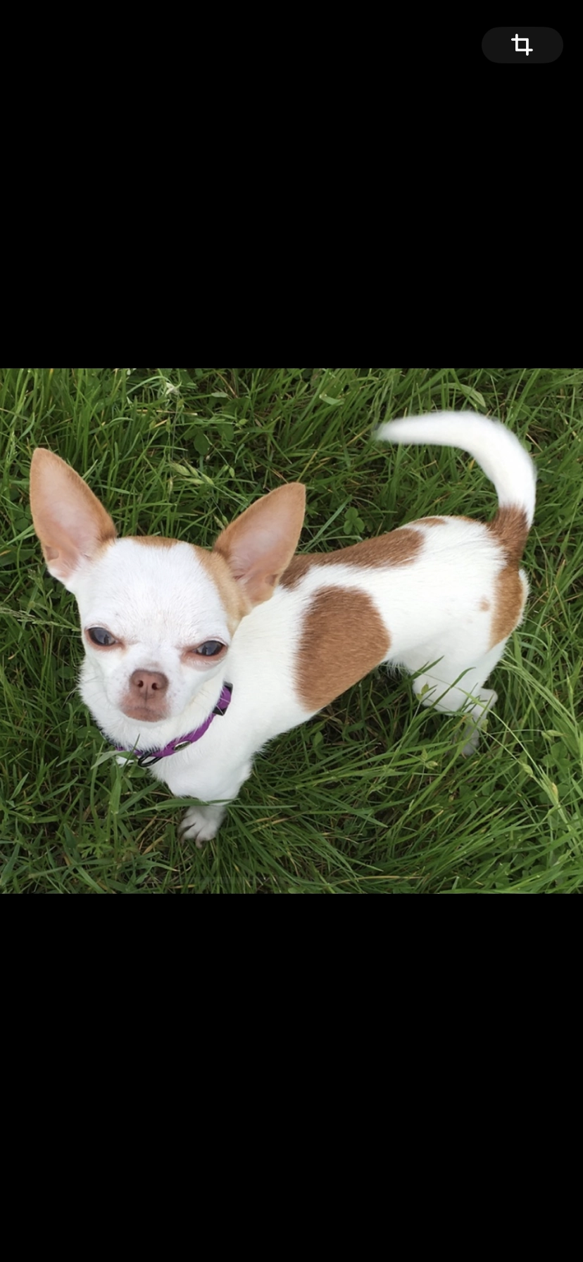 Kessy - Rue Octave Mirbeau, Saint-Cyprien