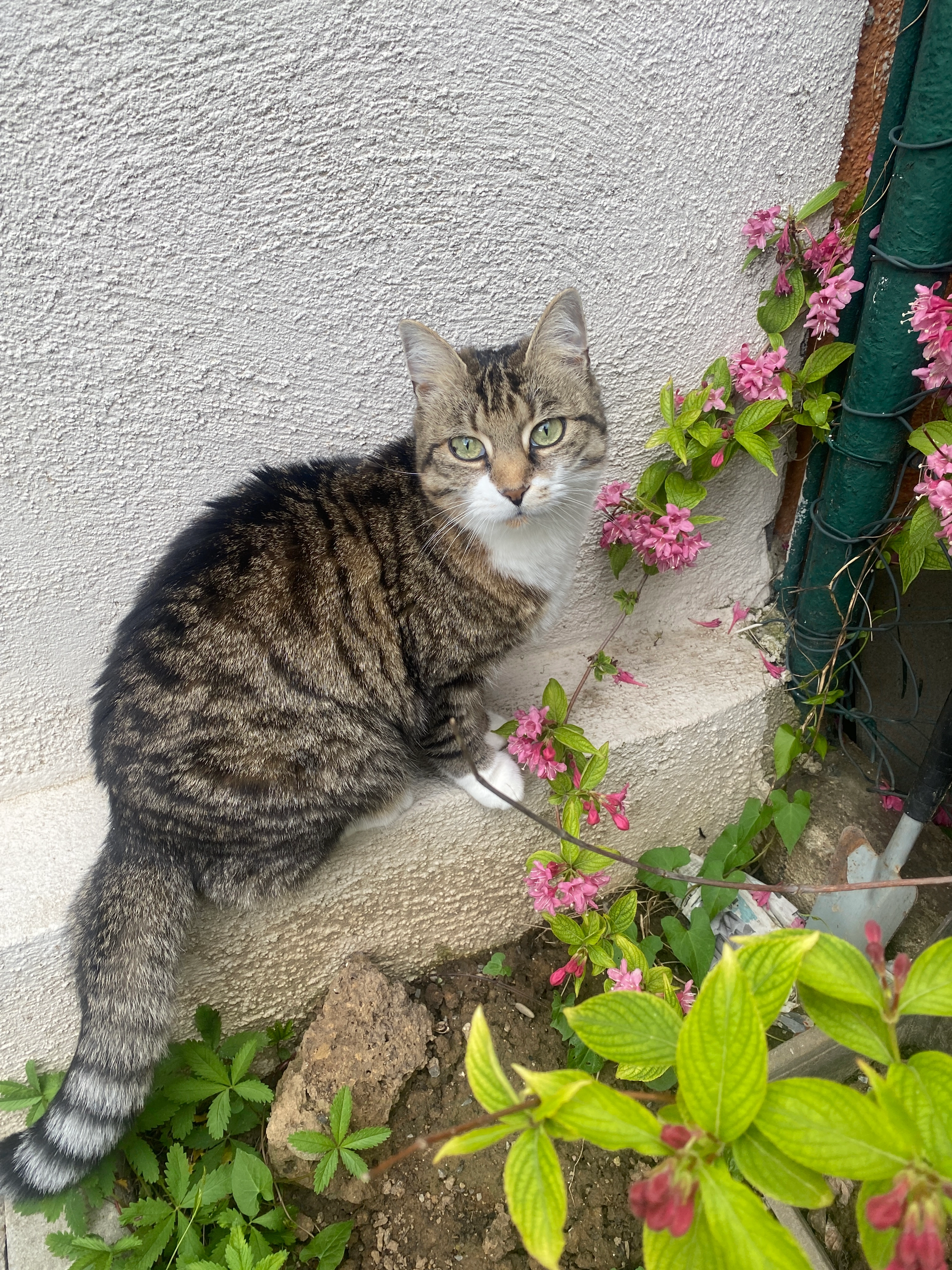 Giddil - Hofstattstraße, Heilbronn