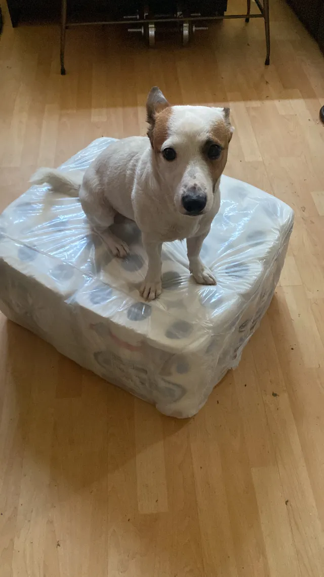Milo - North Road, London
