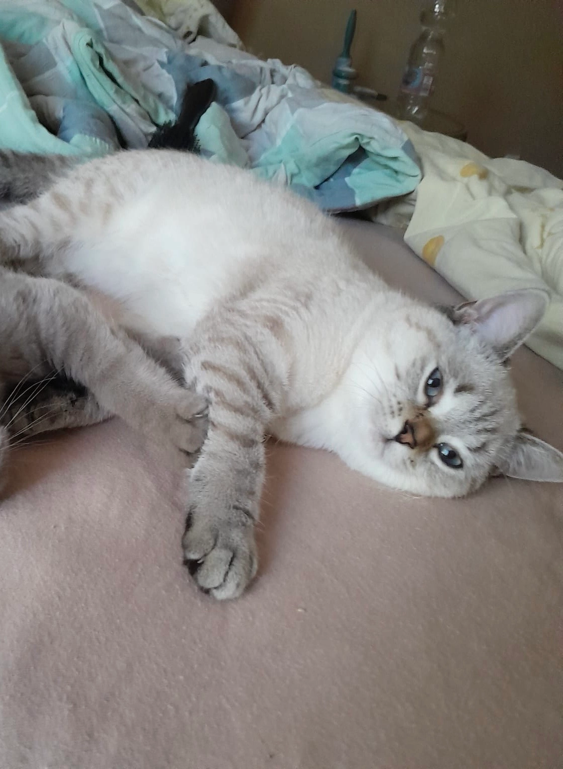 Ela - Wilhelmstraße, Berlin