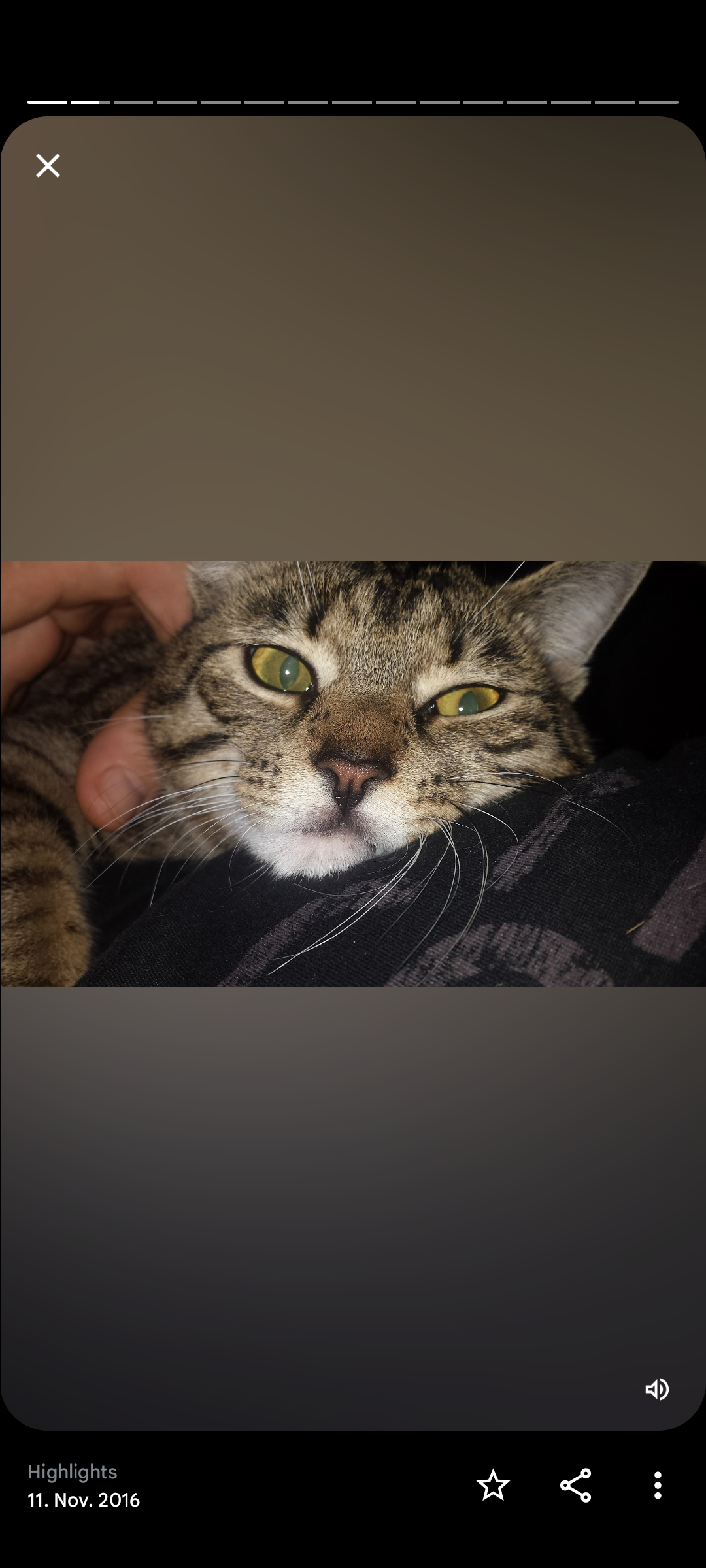 Mogli - Friedhofsweg, Eldena