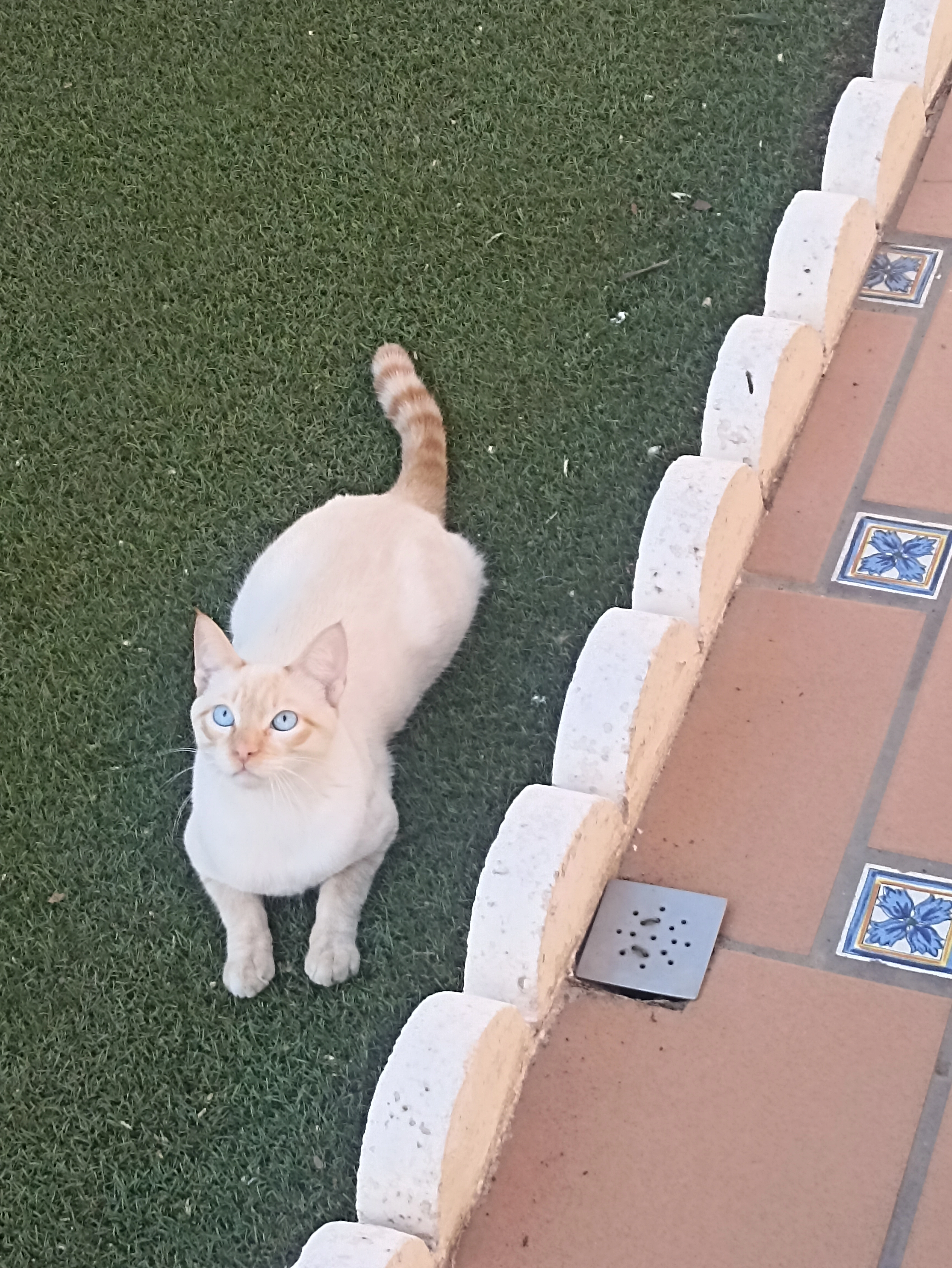 Guti  - Avenida Del Atance, Guadalajara