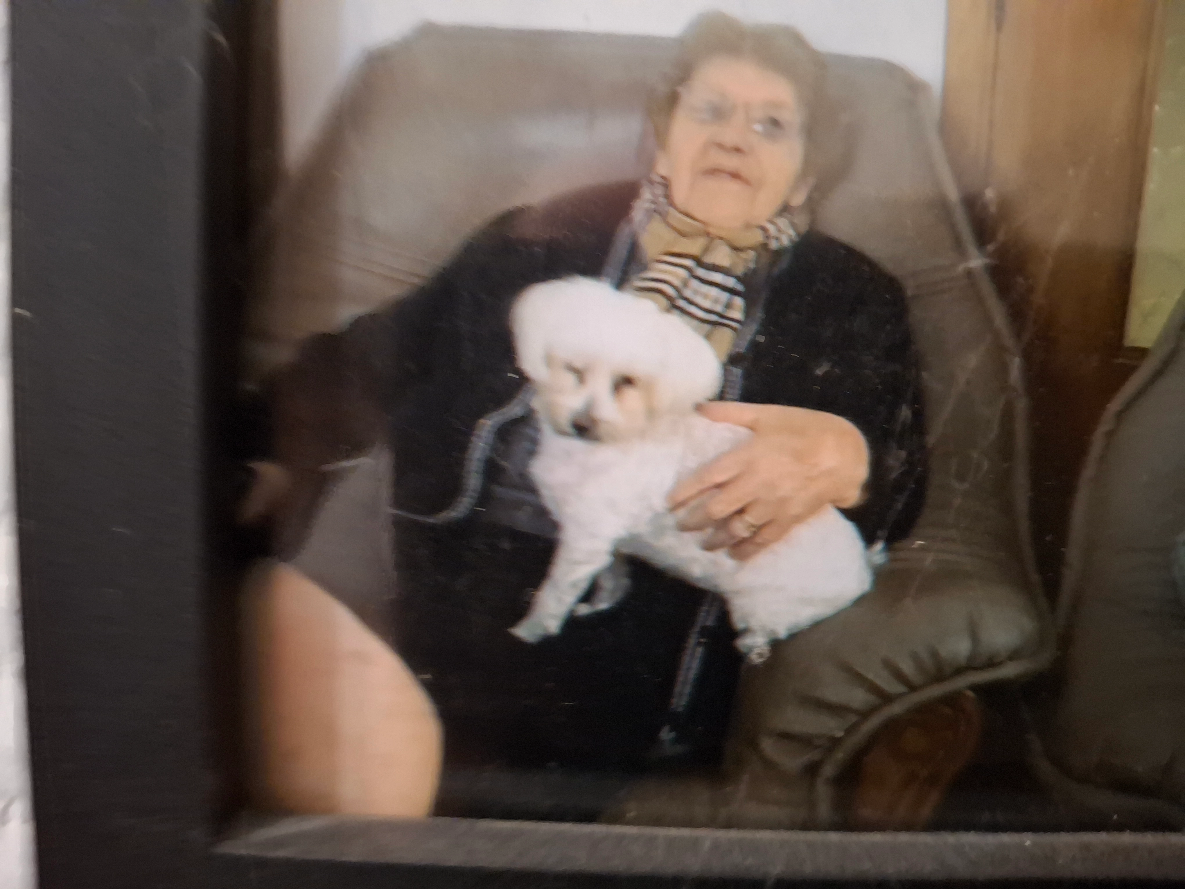 Chipie - Rue du Travail 2, Châtelet