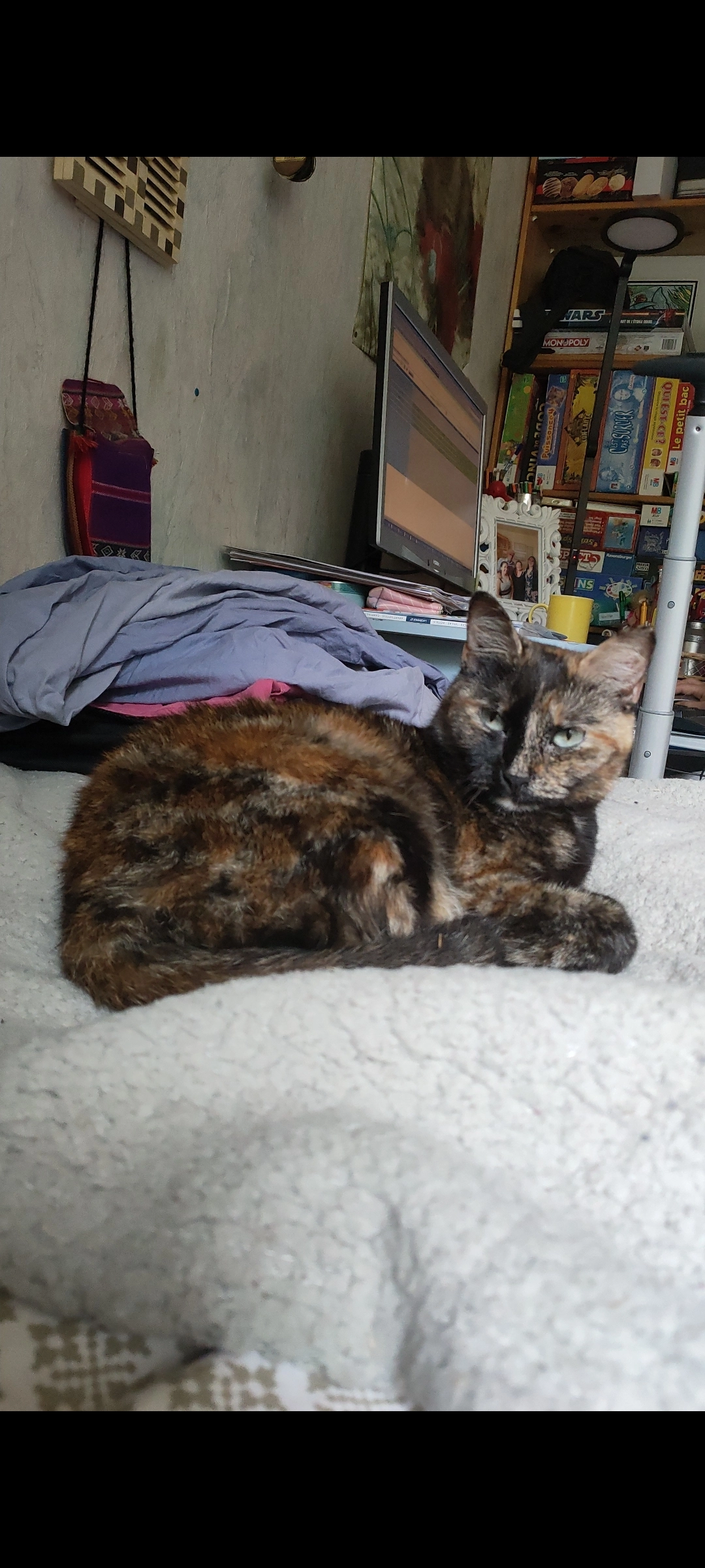 Ruby - Allée Mathurin Méheut, Vannes