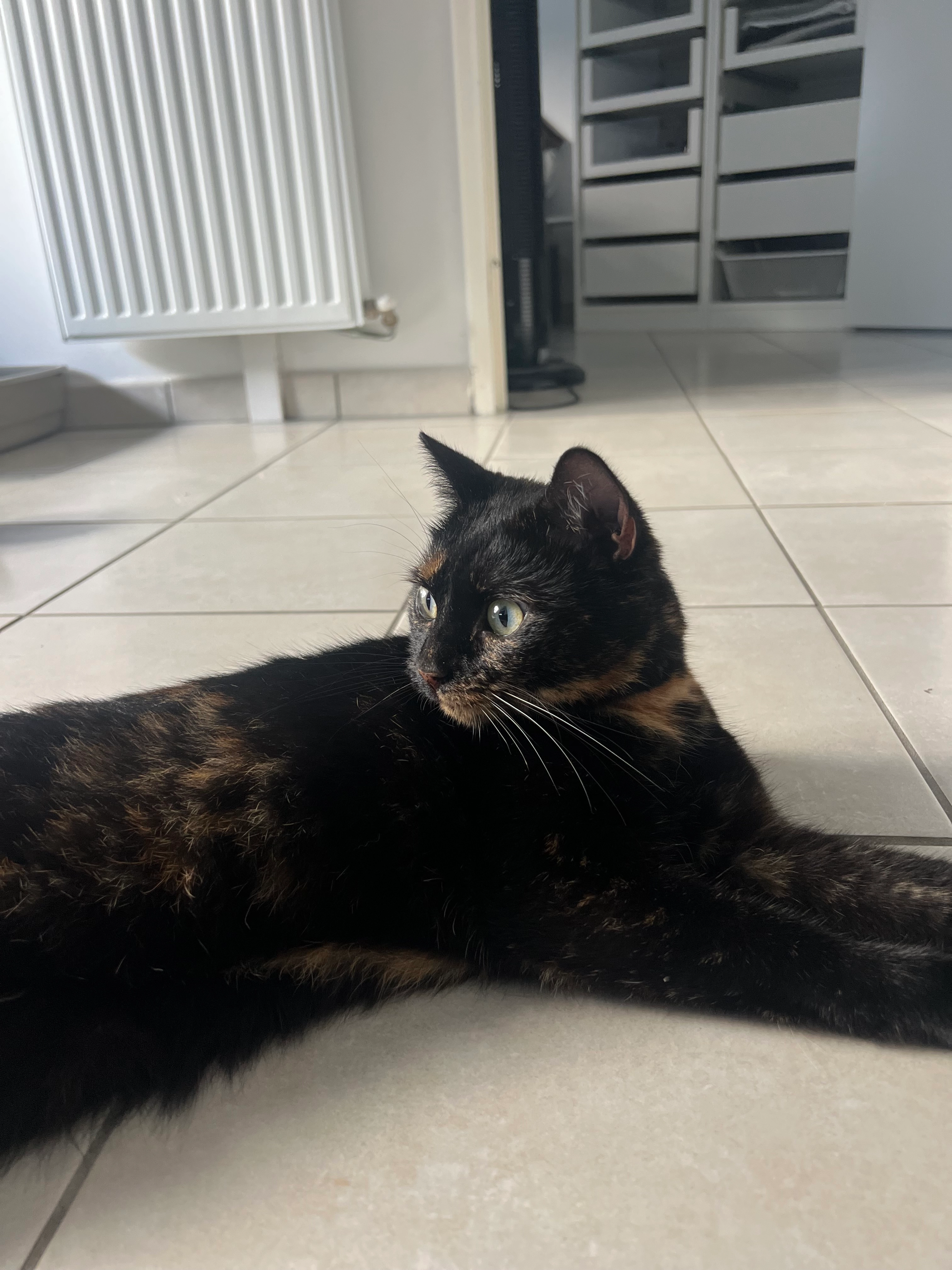 Luna - Rue de l'Eau, Larnaud