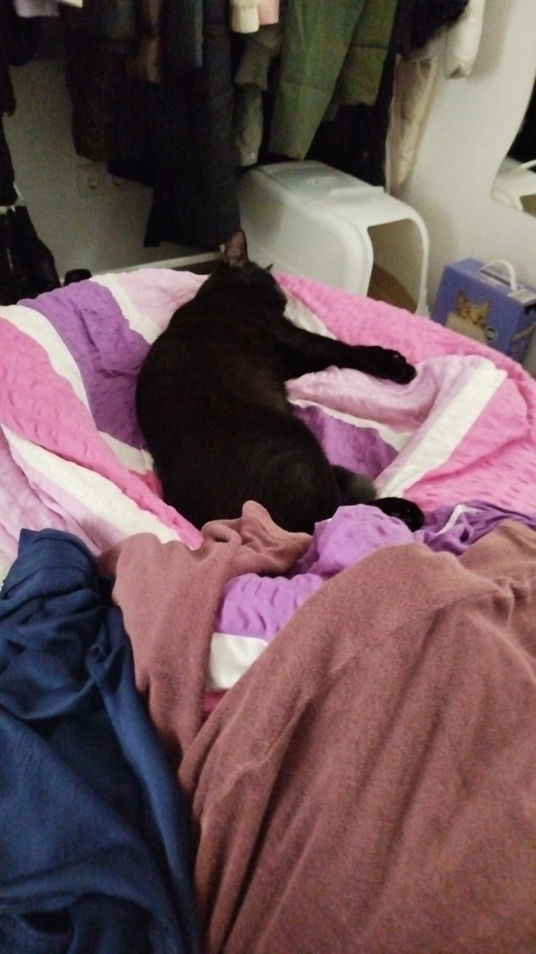 Lotti  - Stimmerweg, Siegen